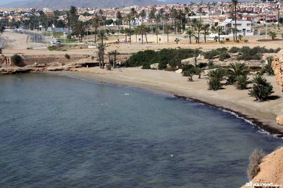 Duplex 5 Mar de Plata view 5