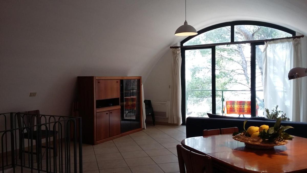 Dedalus view 5