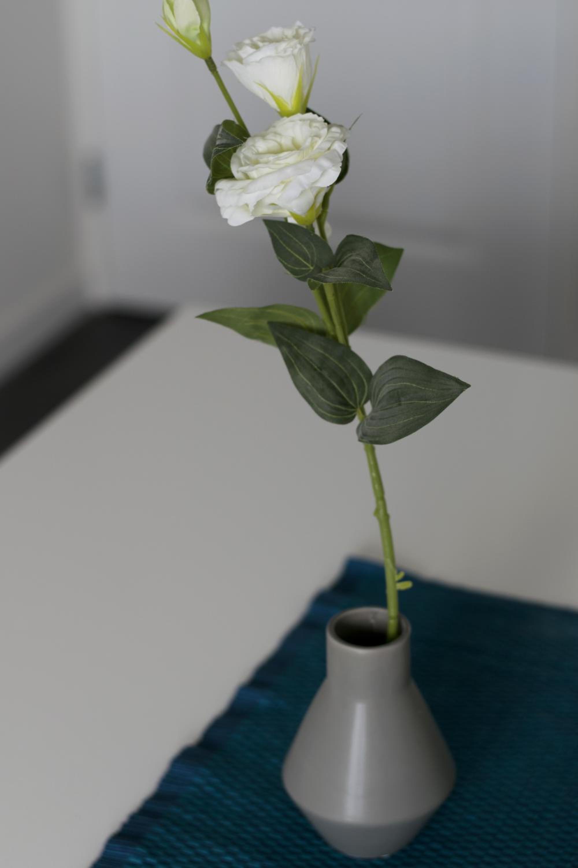 White Moon Apartment