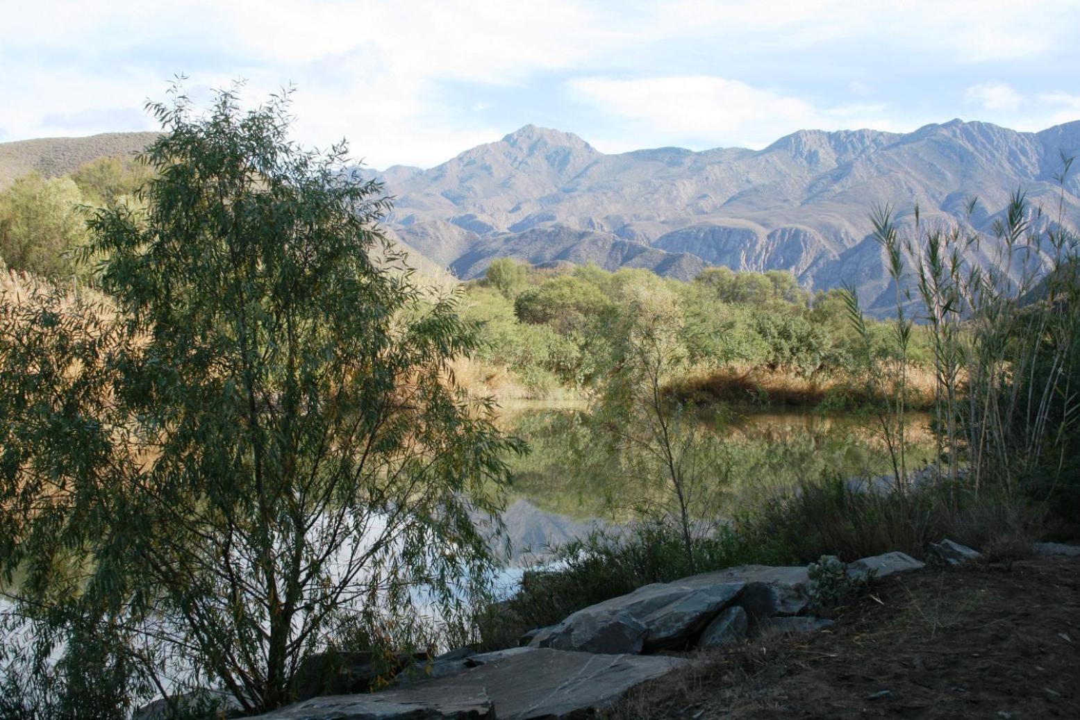 Photo 41