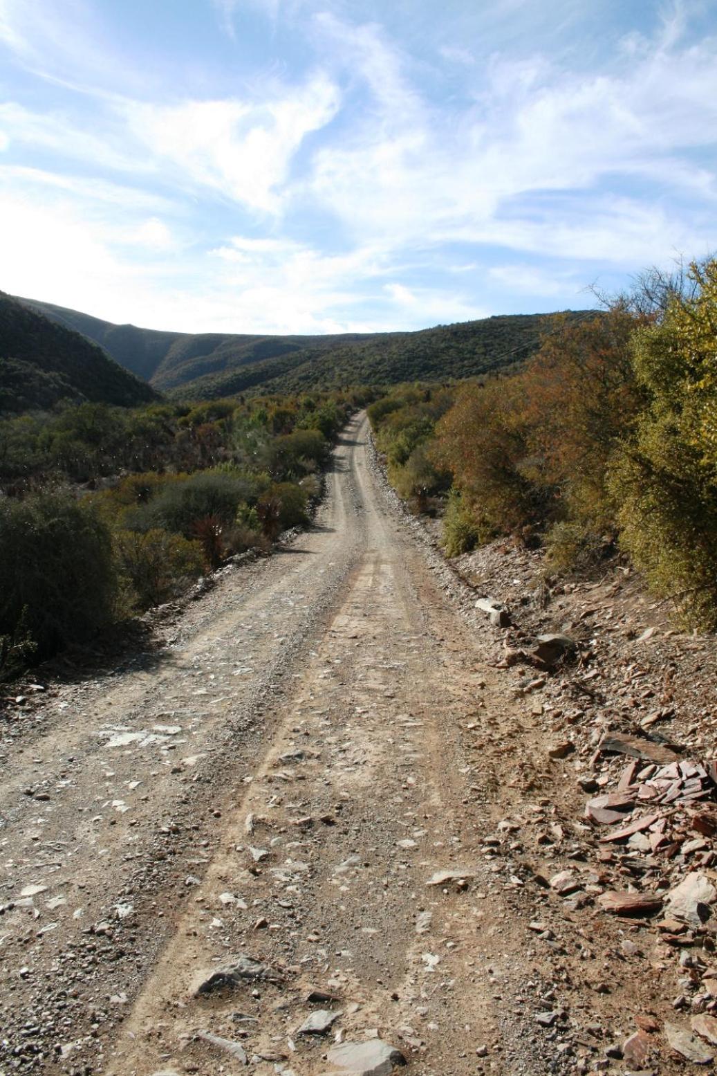 Photo 45