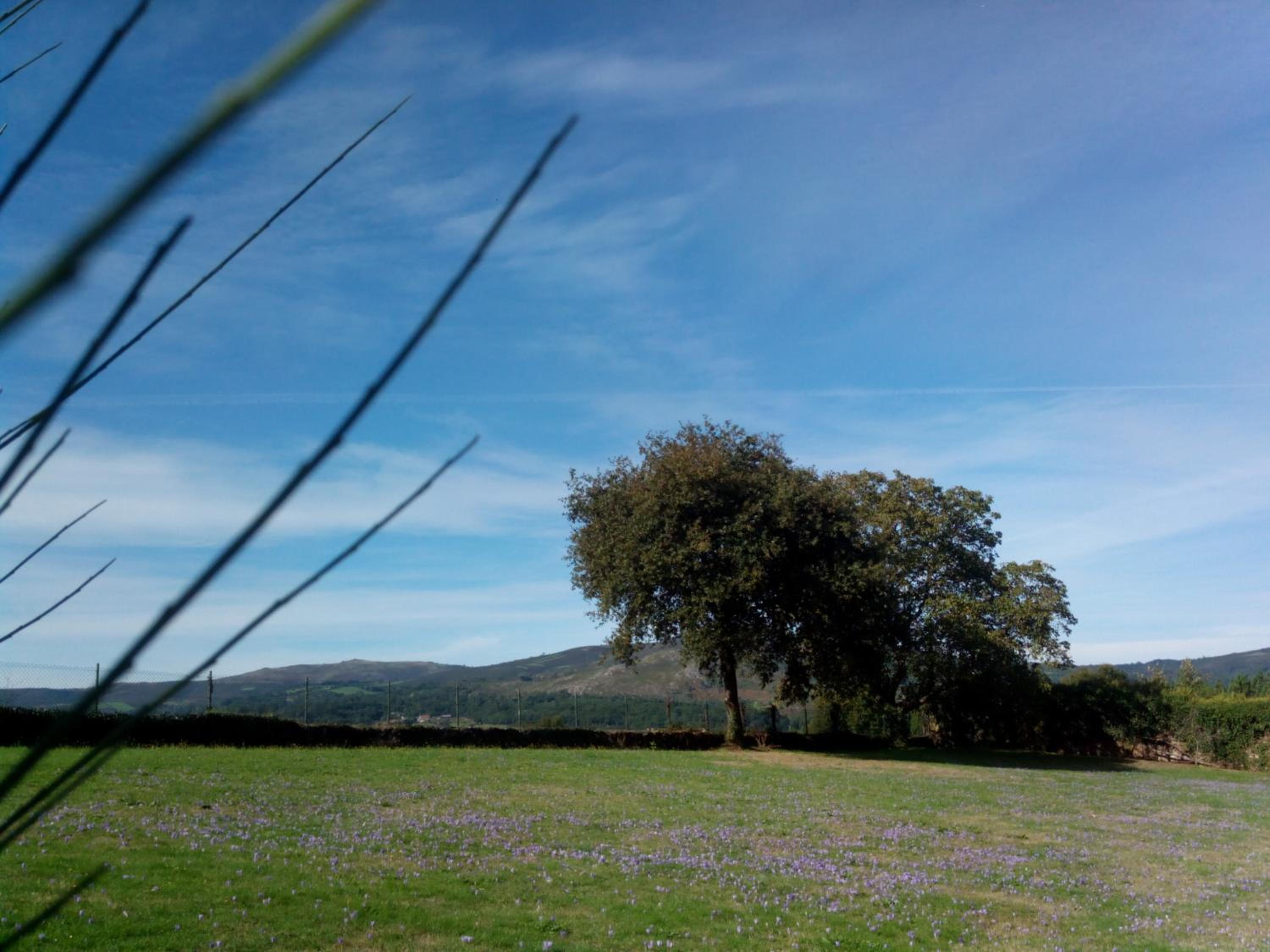 Casa Vixide