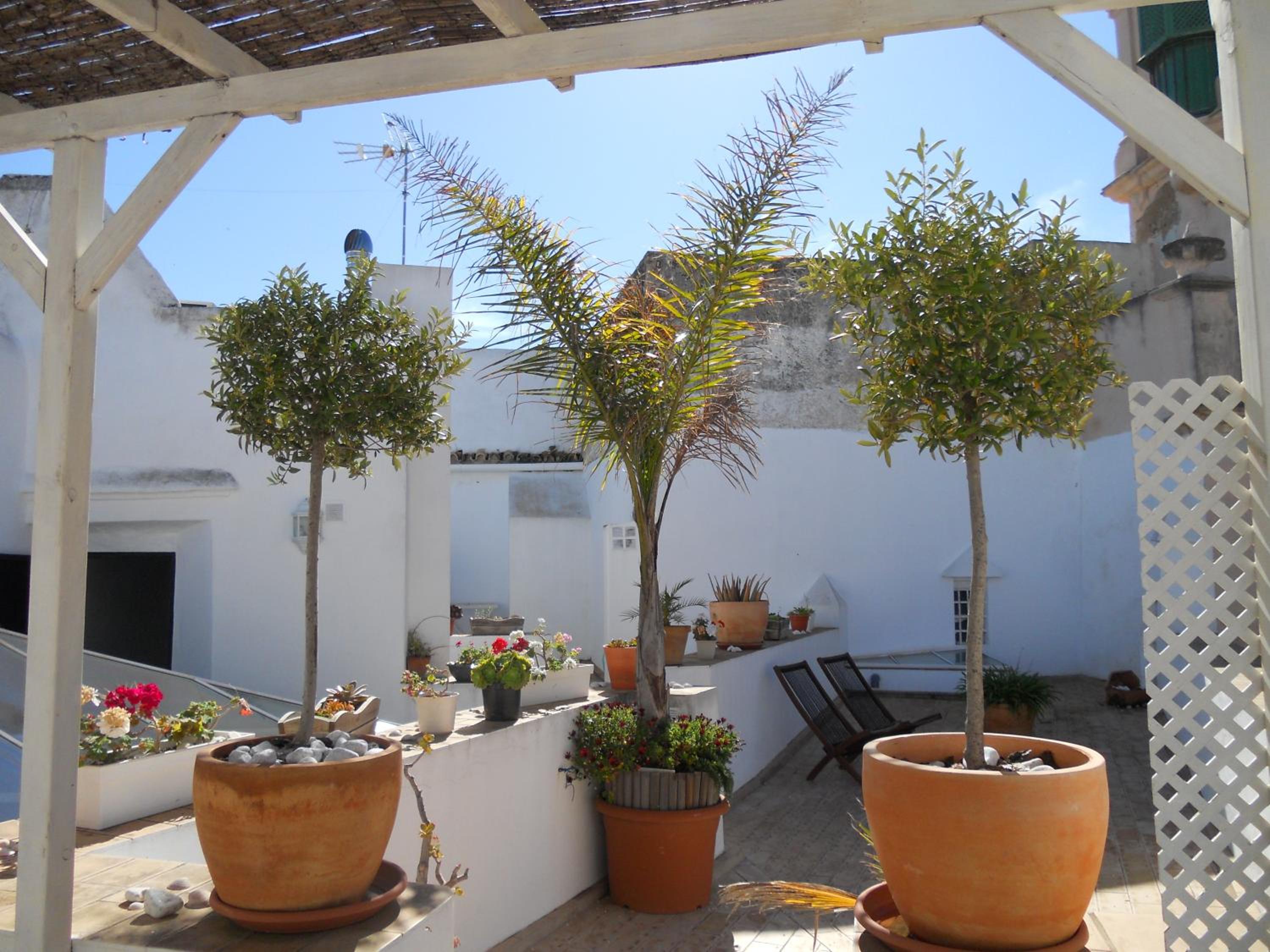 Santa María 12 Boutique Apartamentos view 5