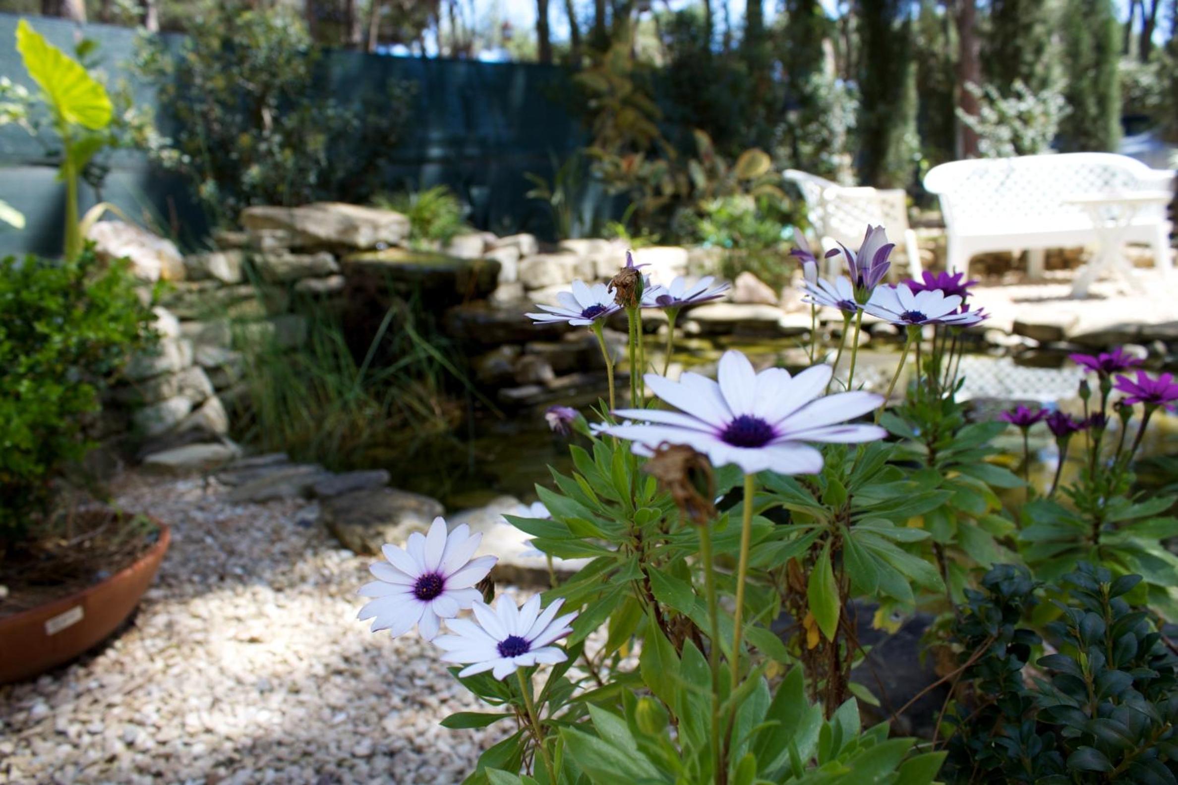 La Villetta Adults Only con giardino a Pula