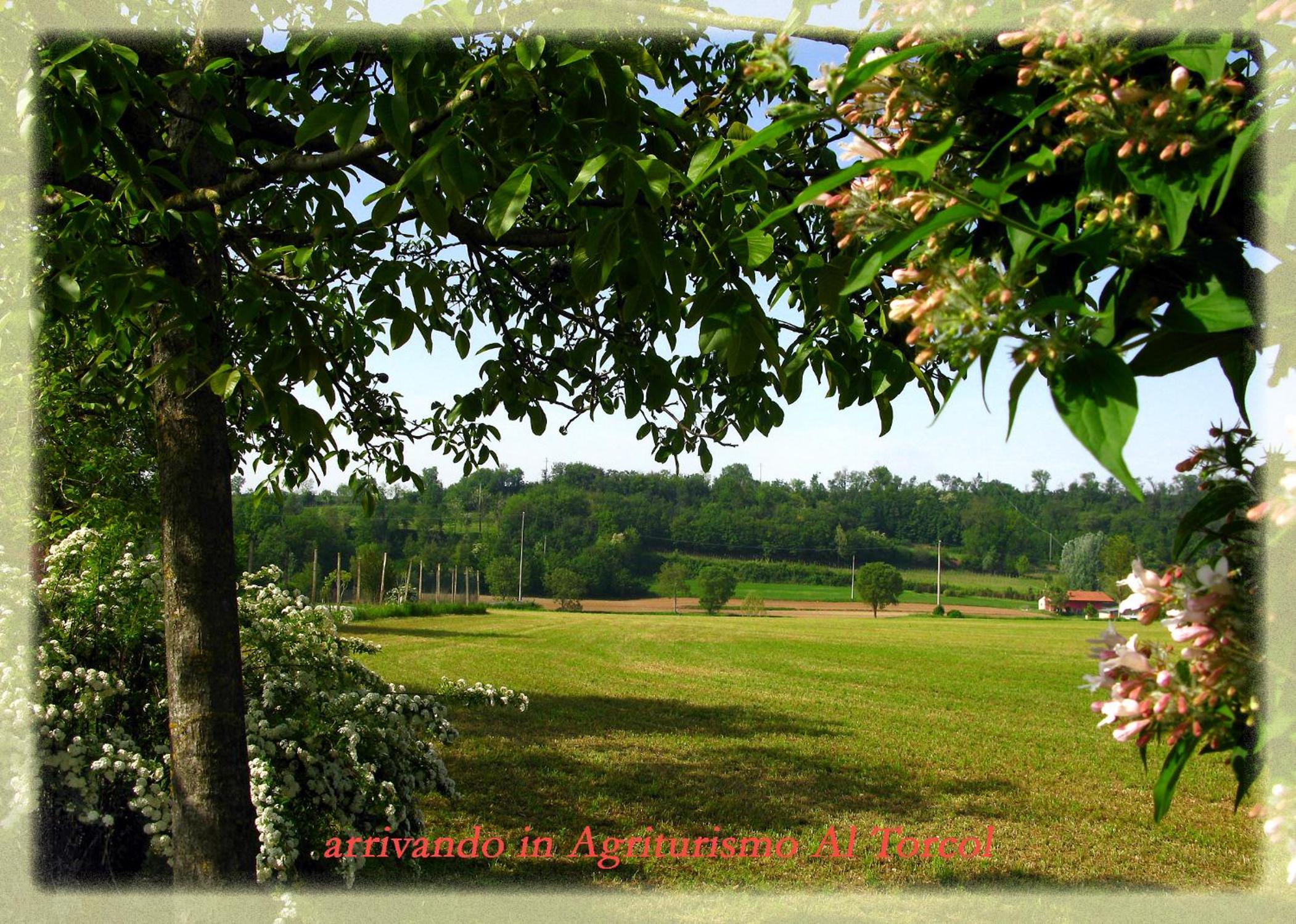 Al Torcol Agriturismo
