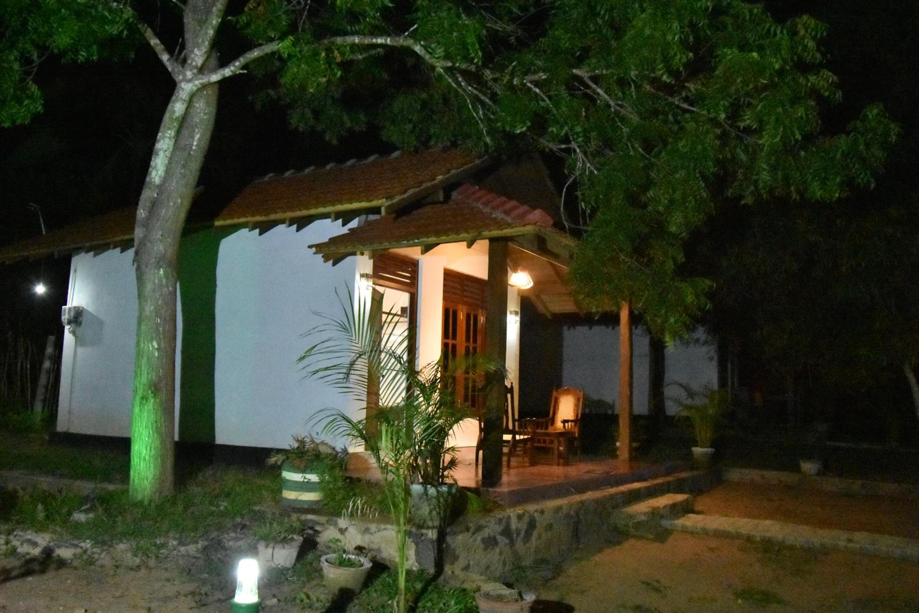 Photo 51
