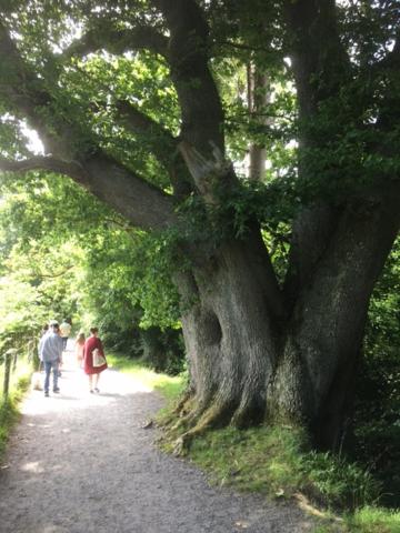 Photo 44