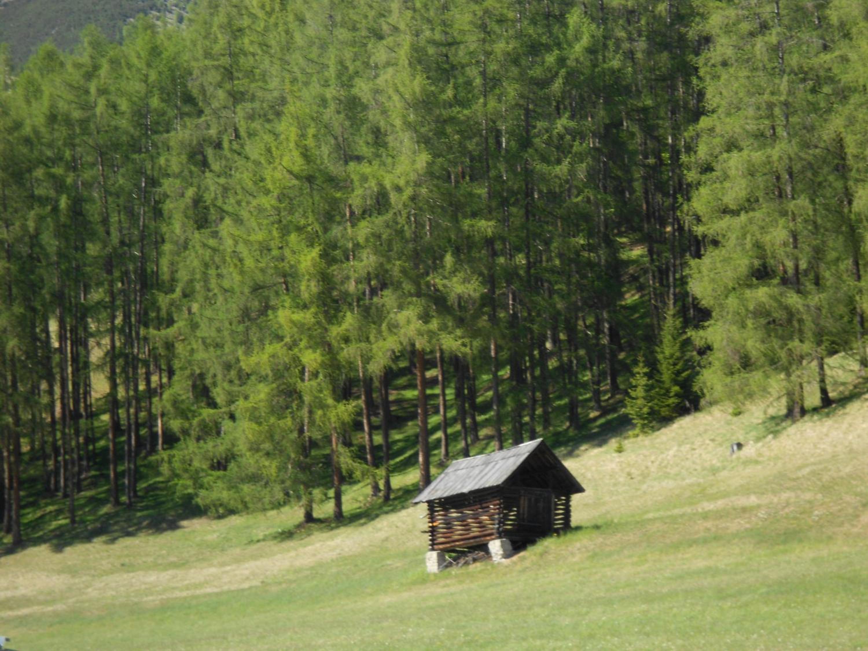 Haus Thurner view 5
