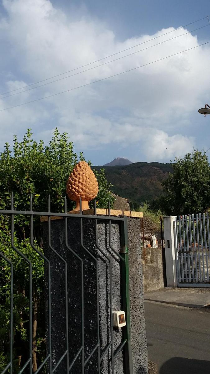 Scatitti House view 4