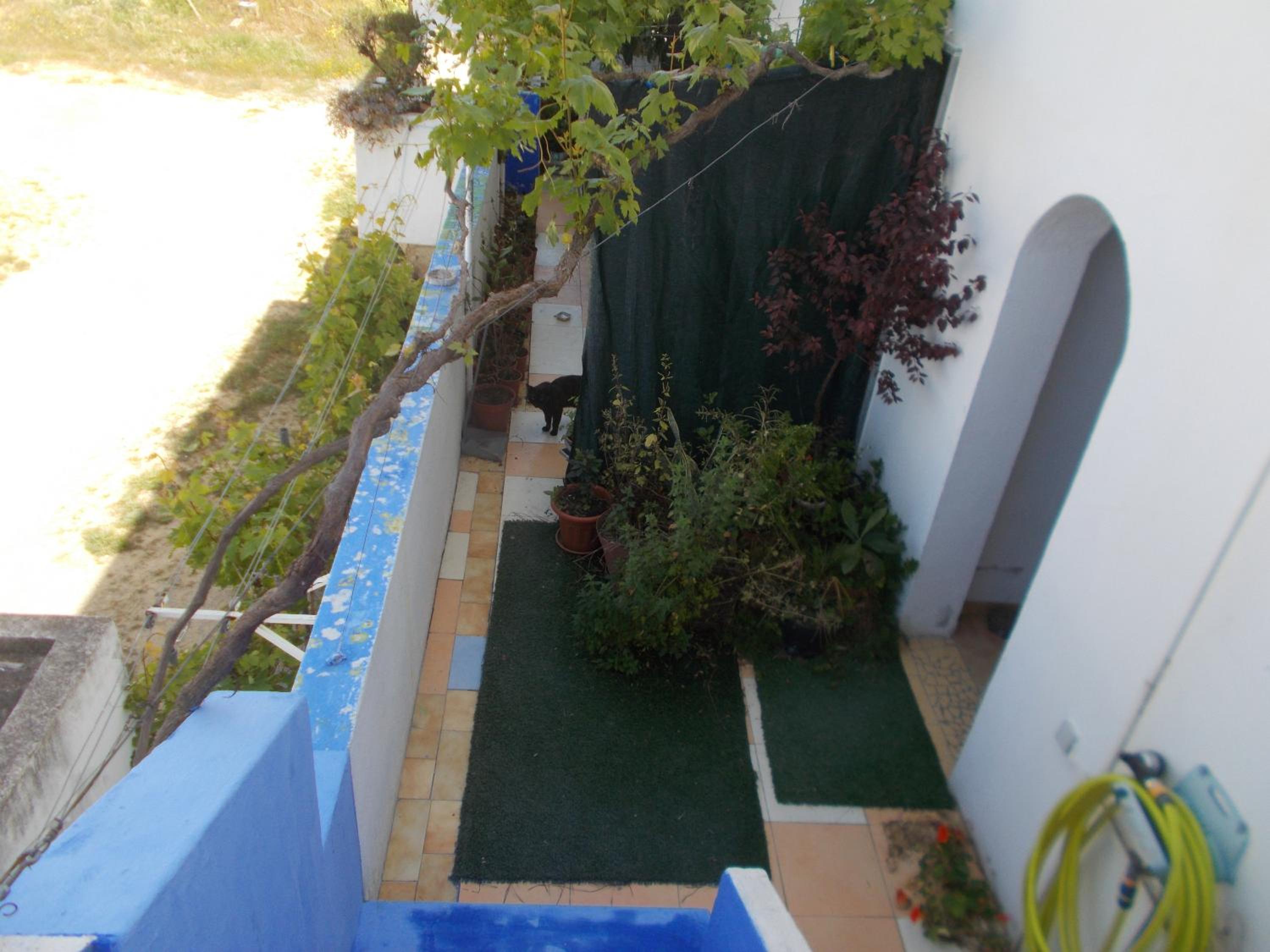 Photo 44