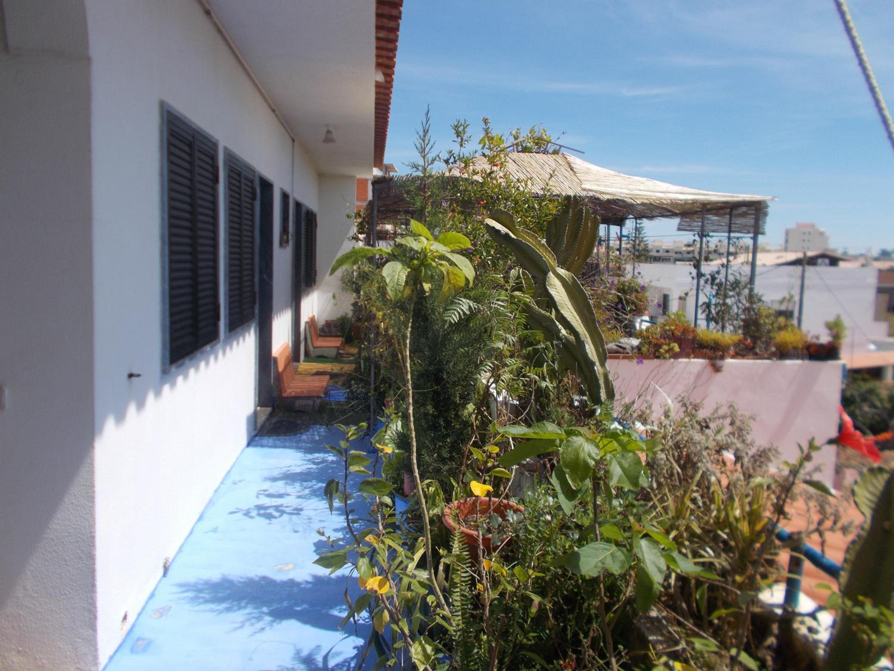Photo 47