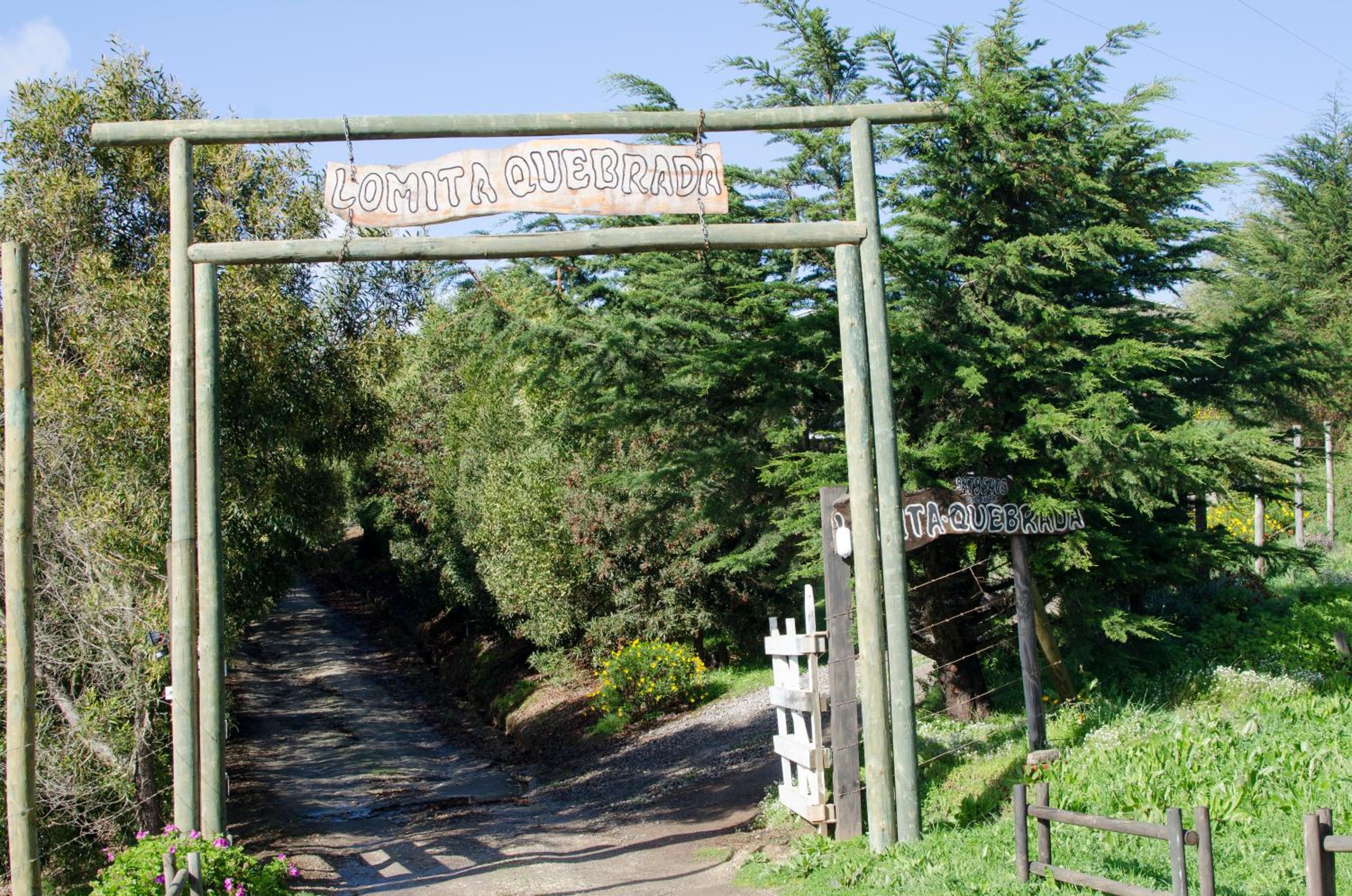 Lomita Quebrada
