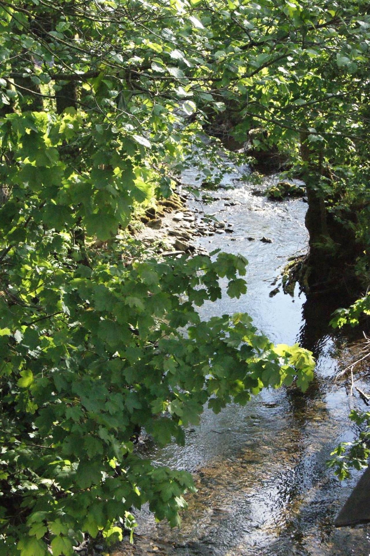 Photo 40