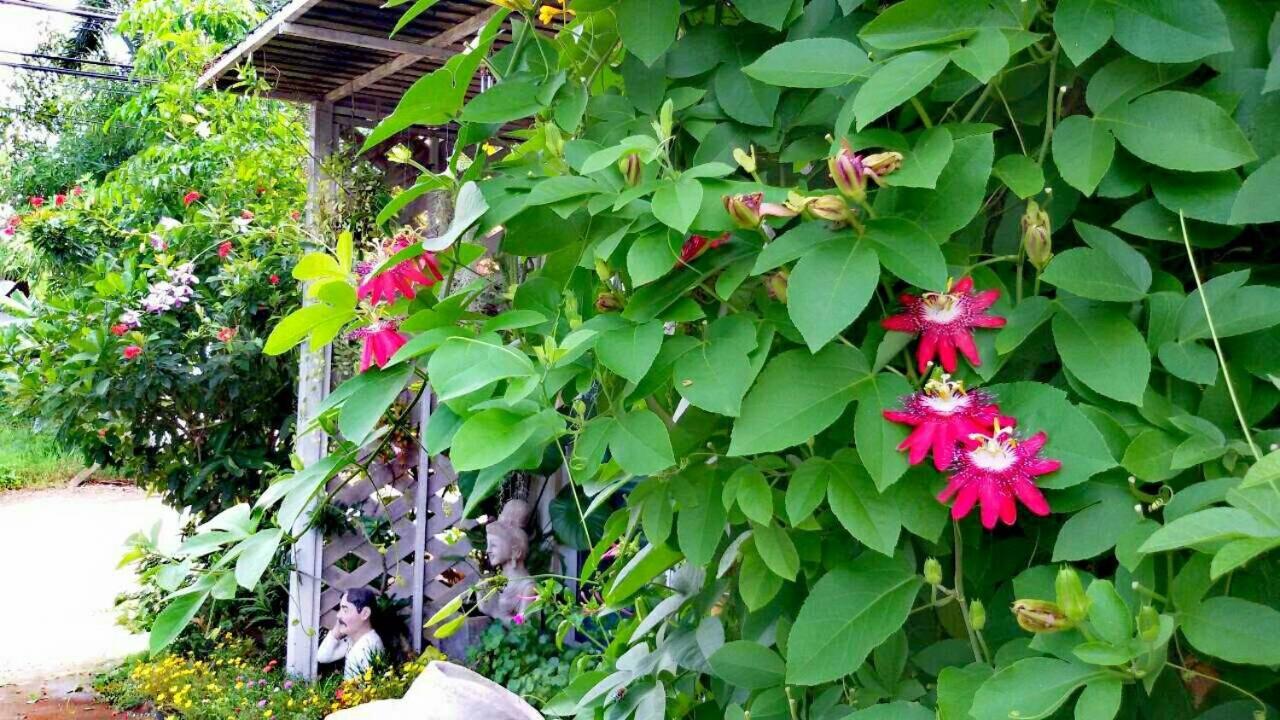 Lampang Lanna Home