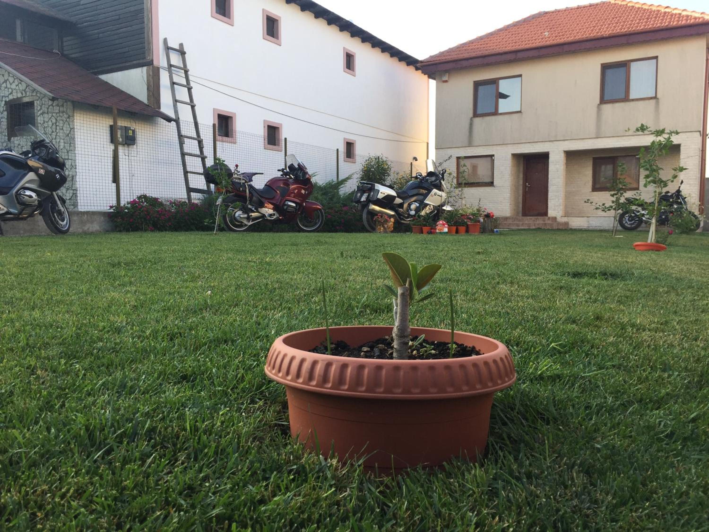 Casa Noastra en Vama Veche — other