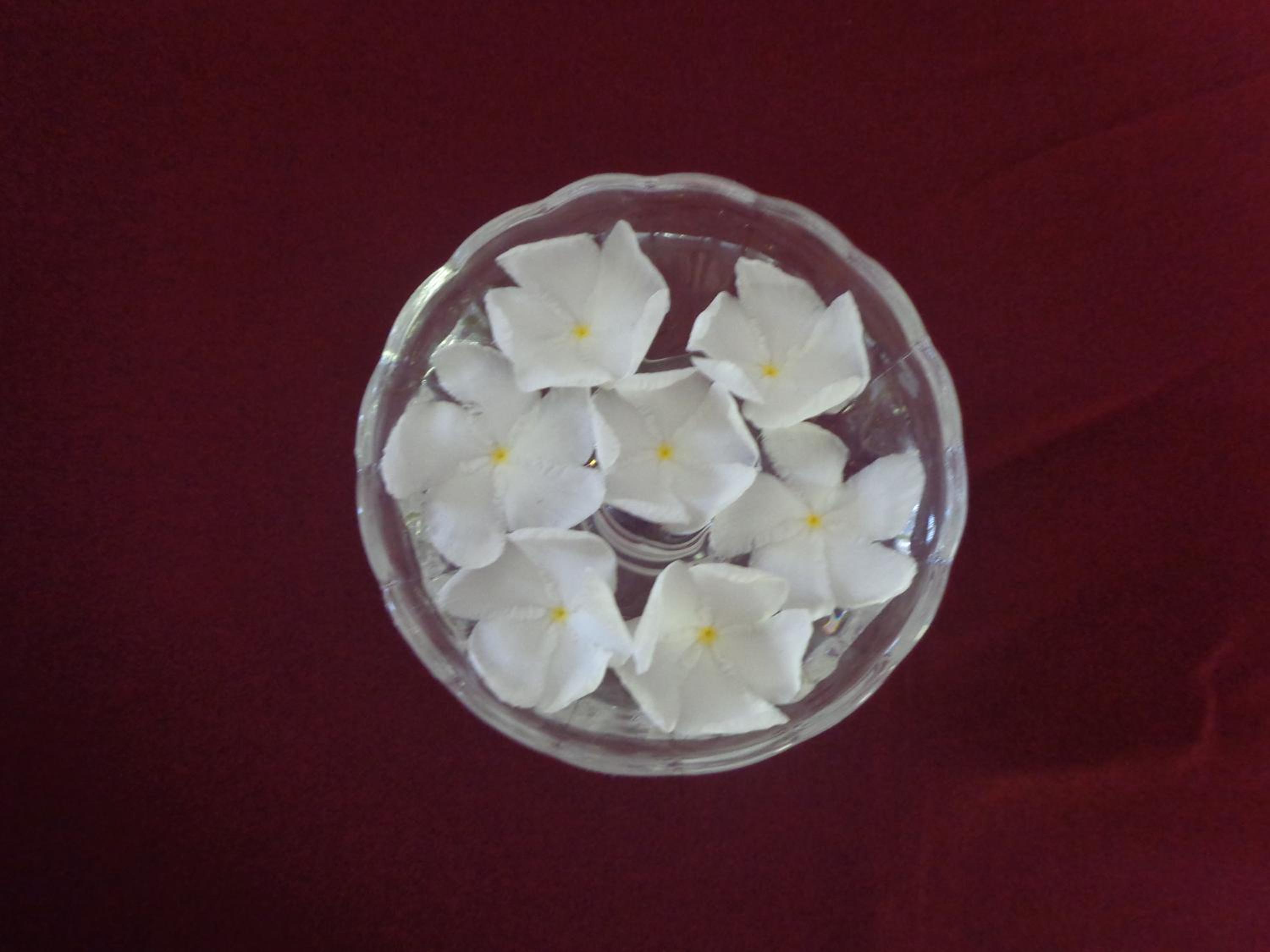DiNi Galle