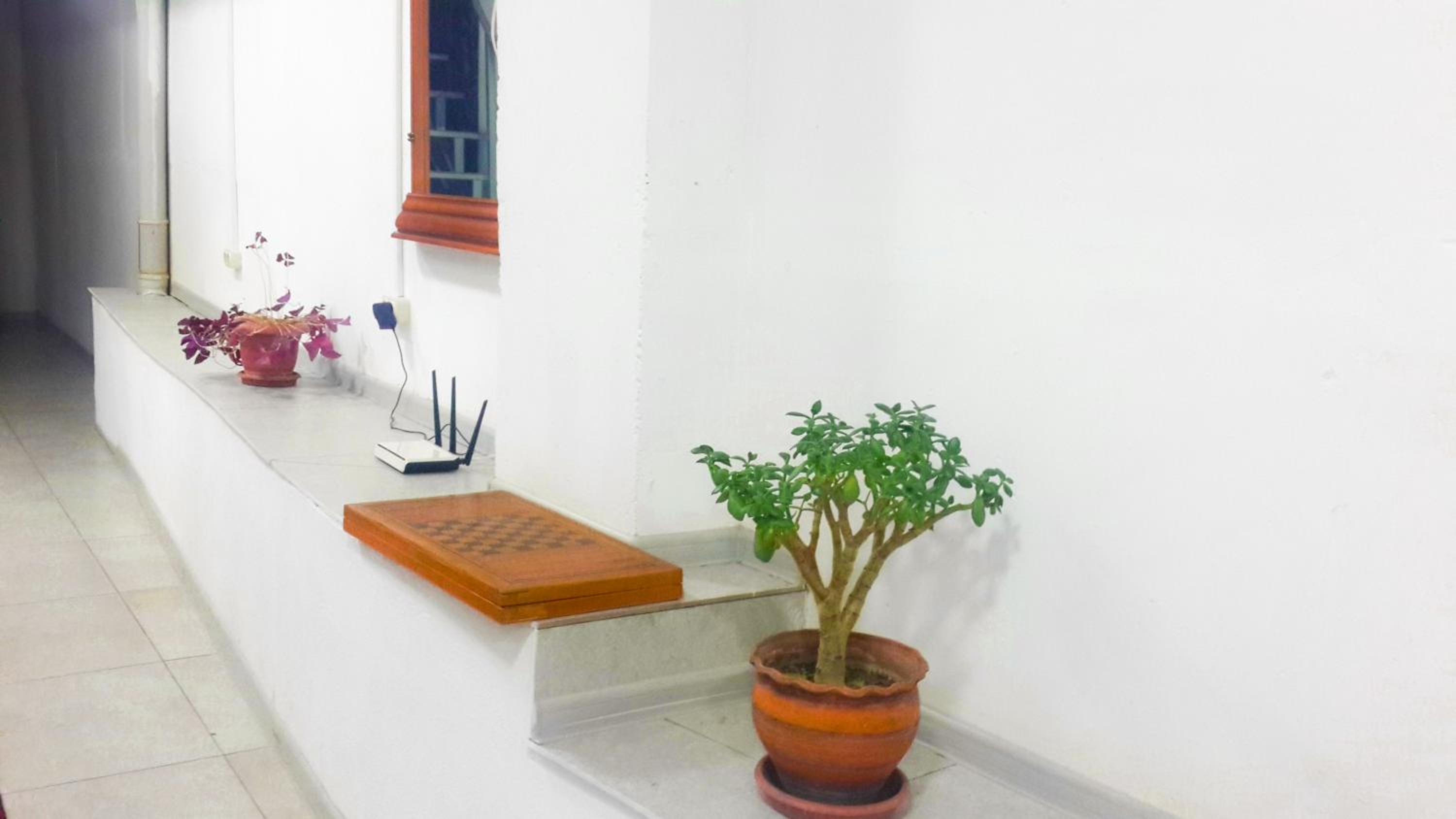 Photo 29