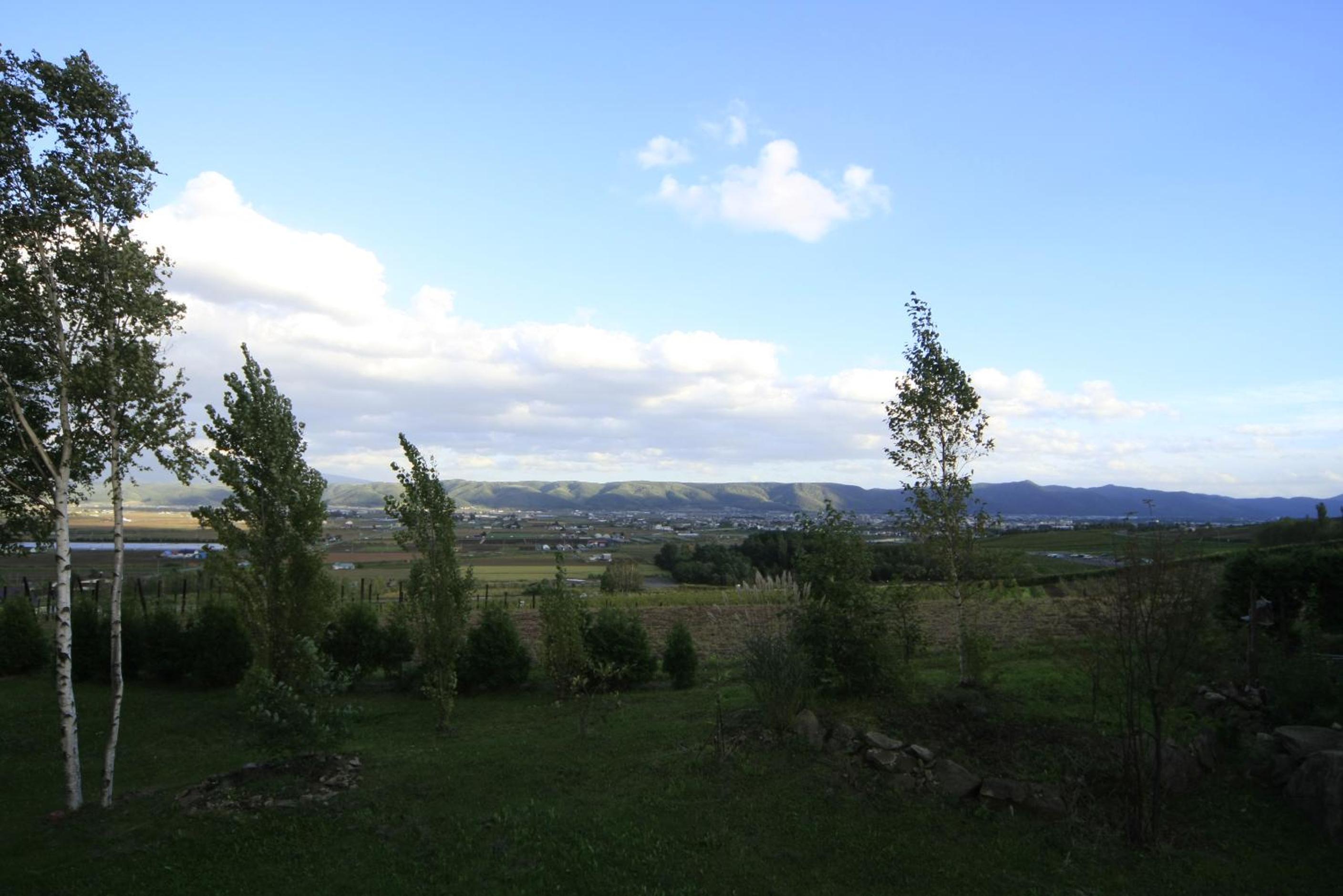 Photo 14