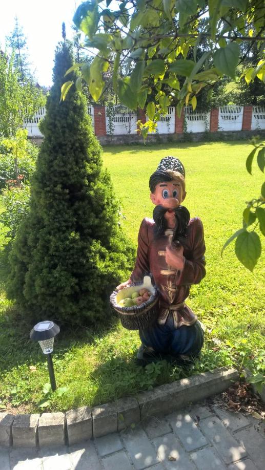 Photo 32