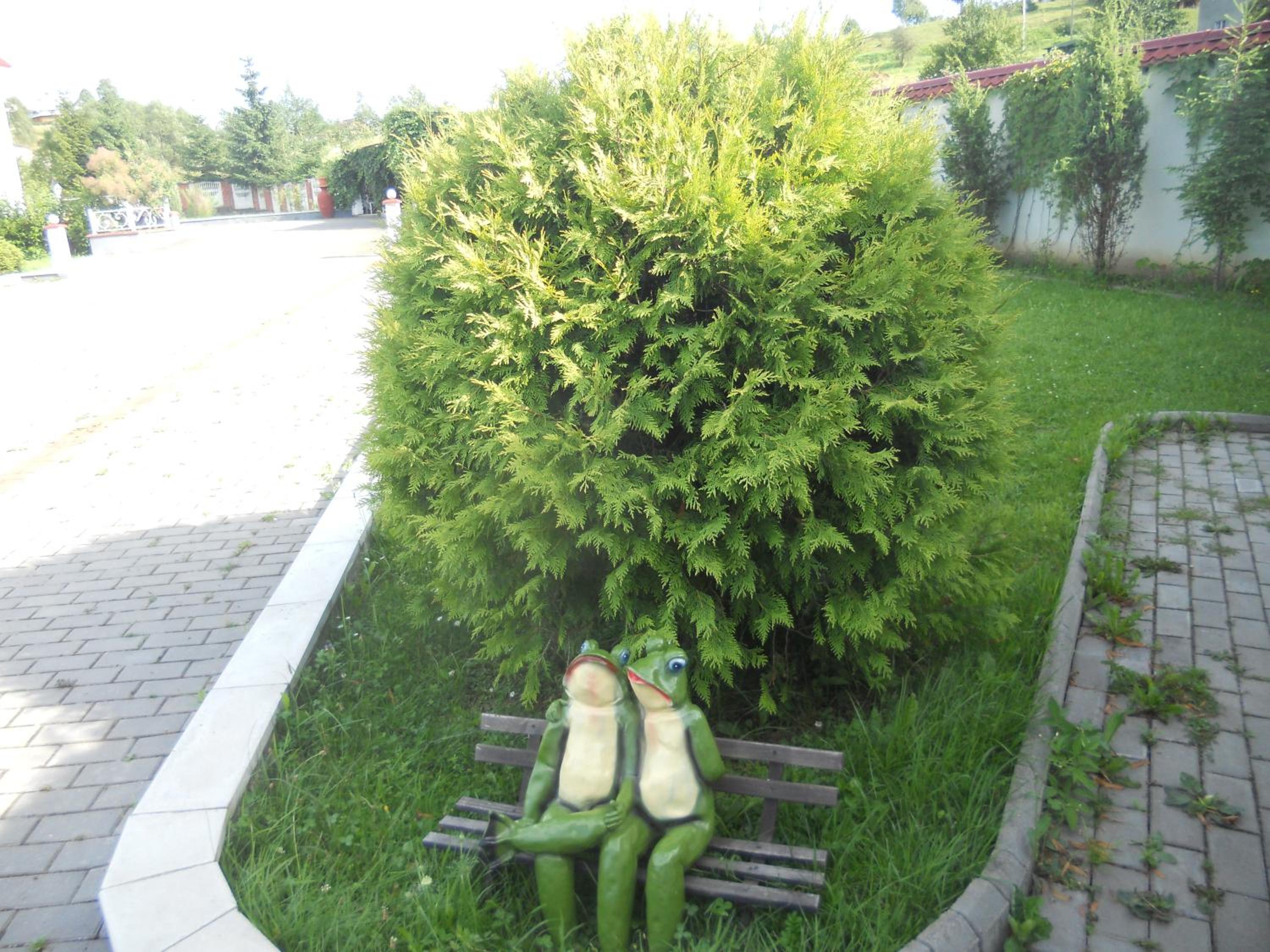 Photo 33
