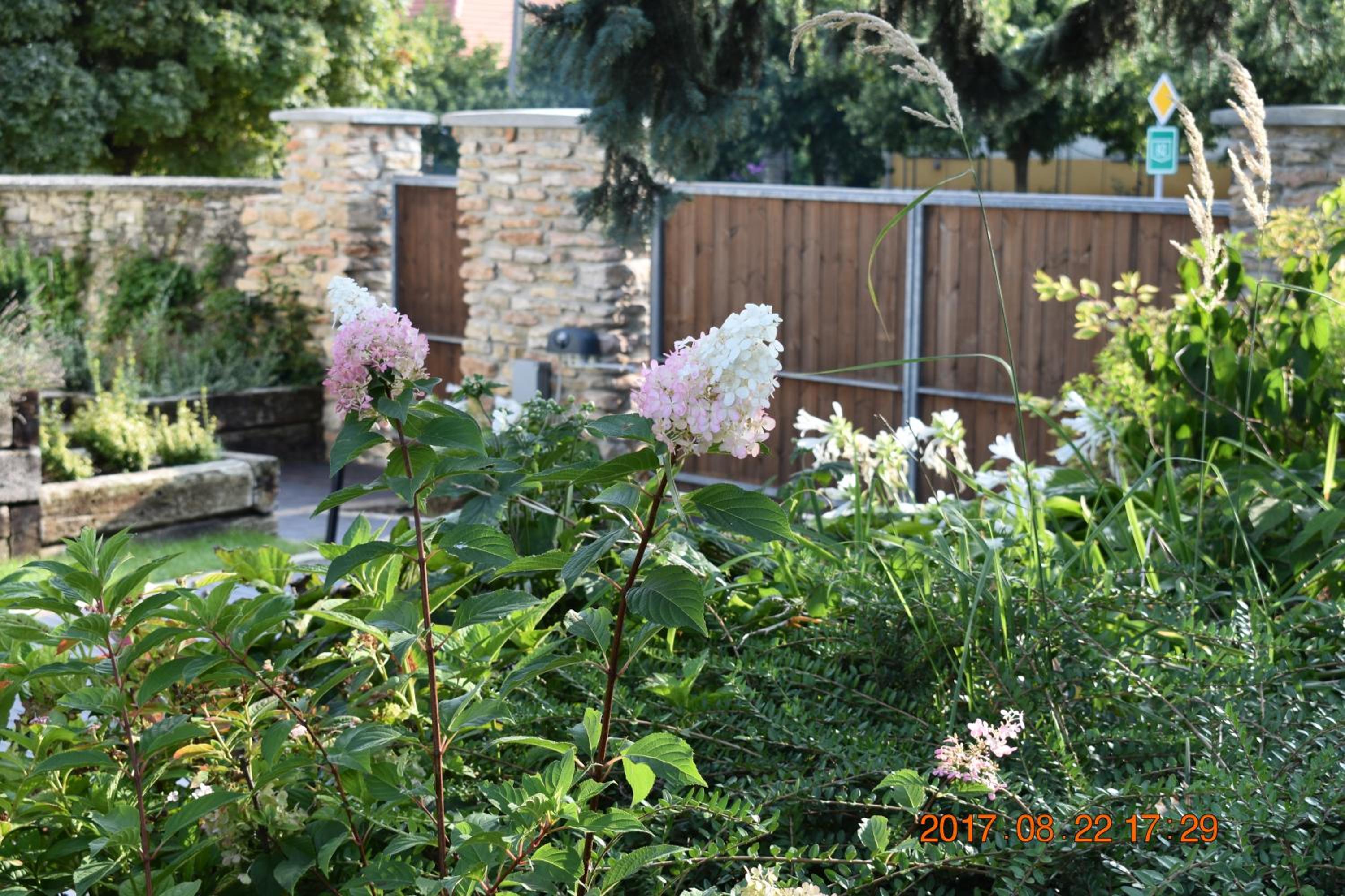 Photo 58
