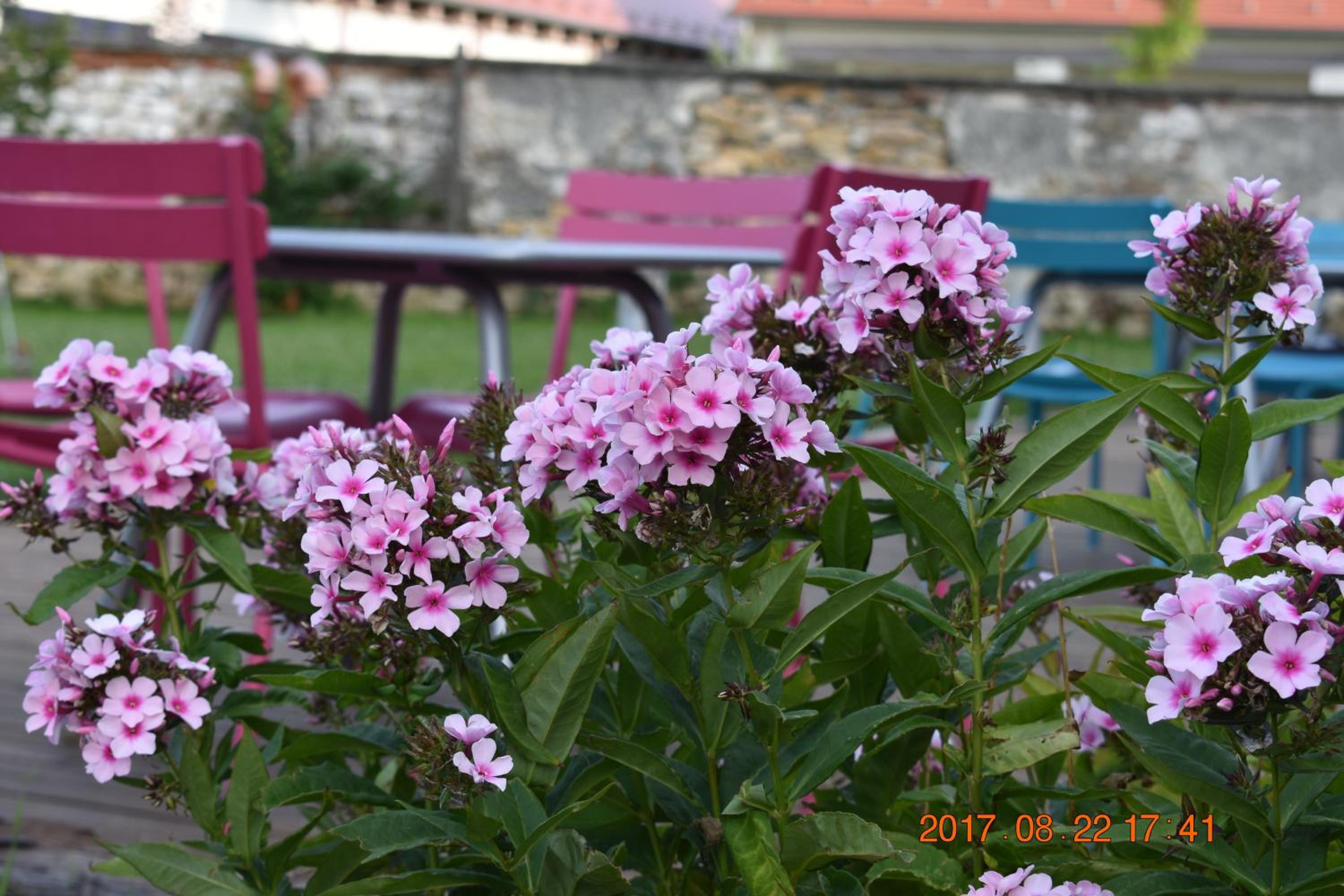 Photo 53