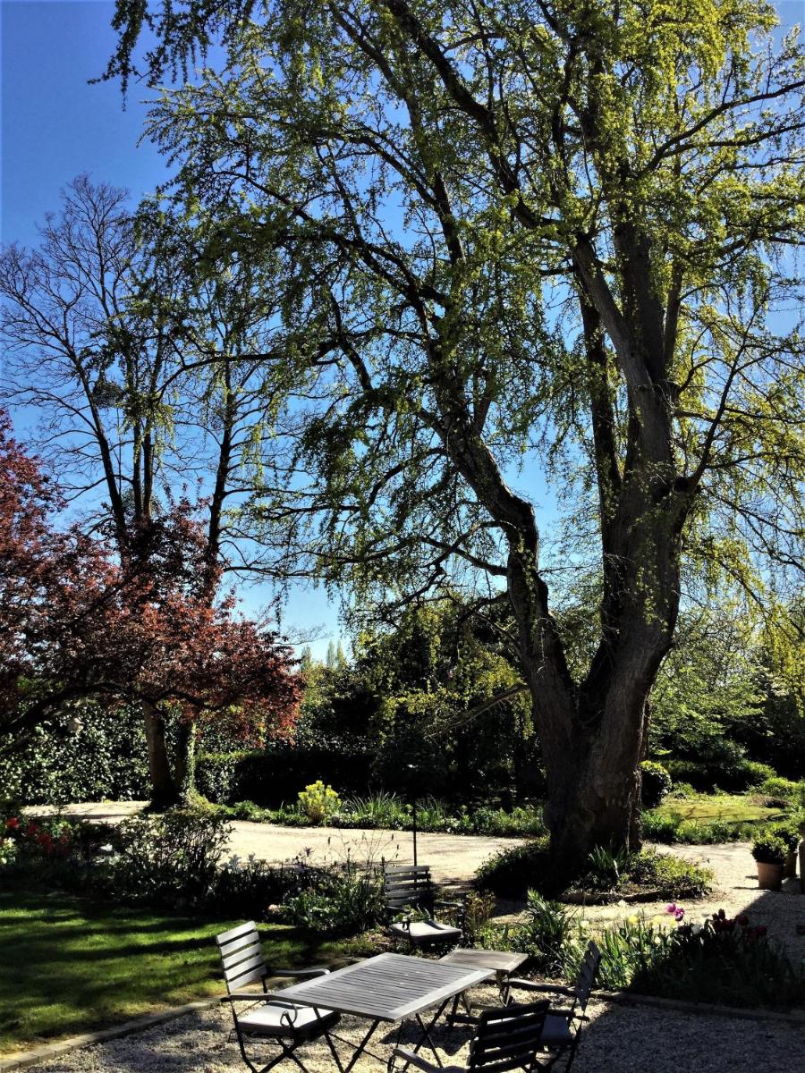 Le Grand Arbre view 3