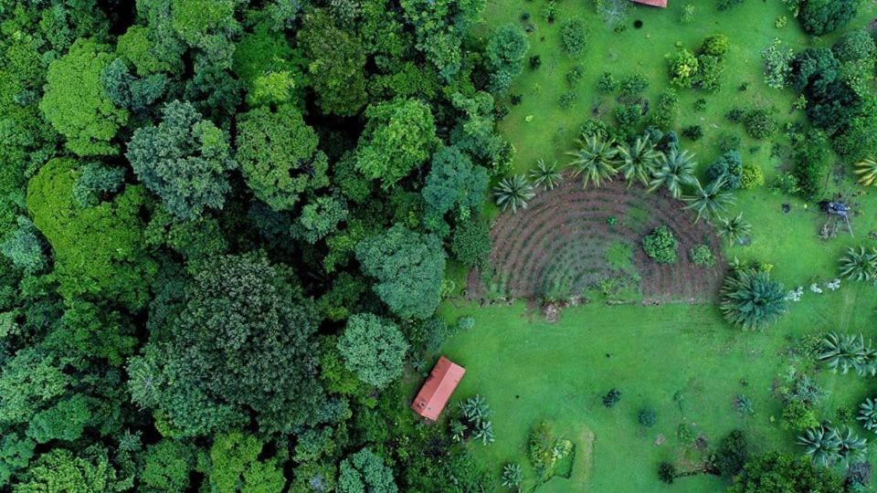 Eco Lodge&Farm Rustic Roots Reserve