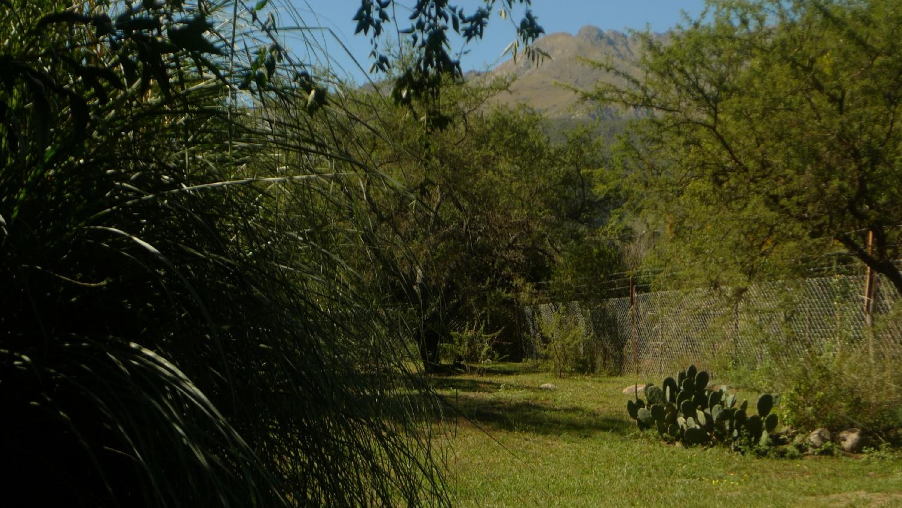 Samsara Traslasierra