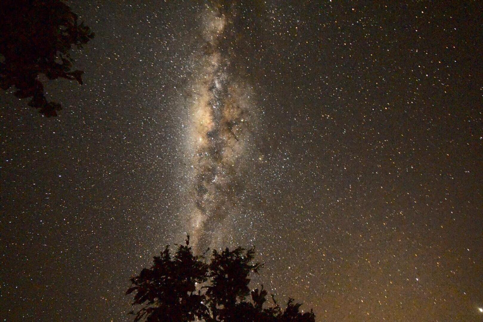 Photo 36