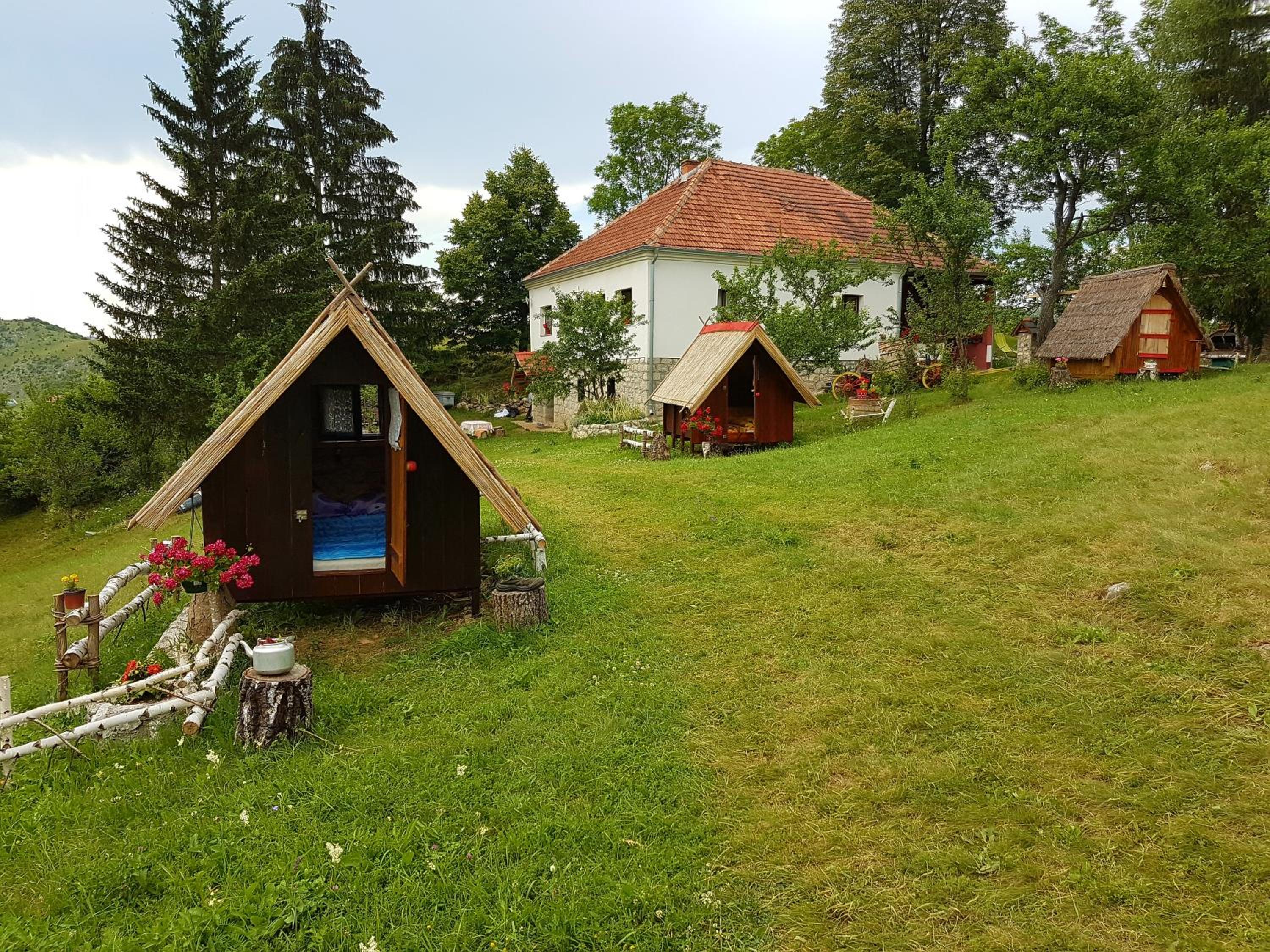 Photo 45
