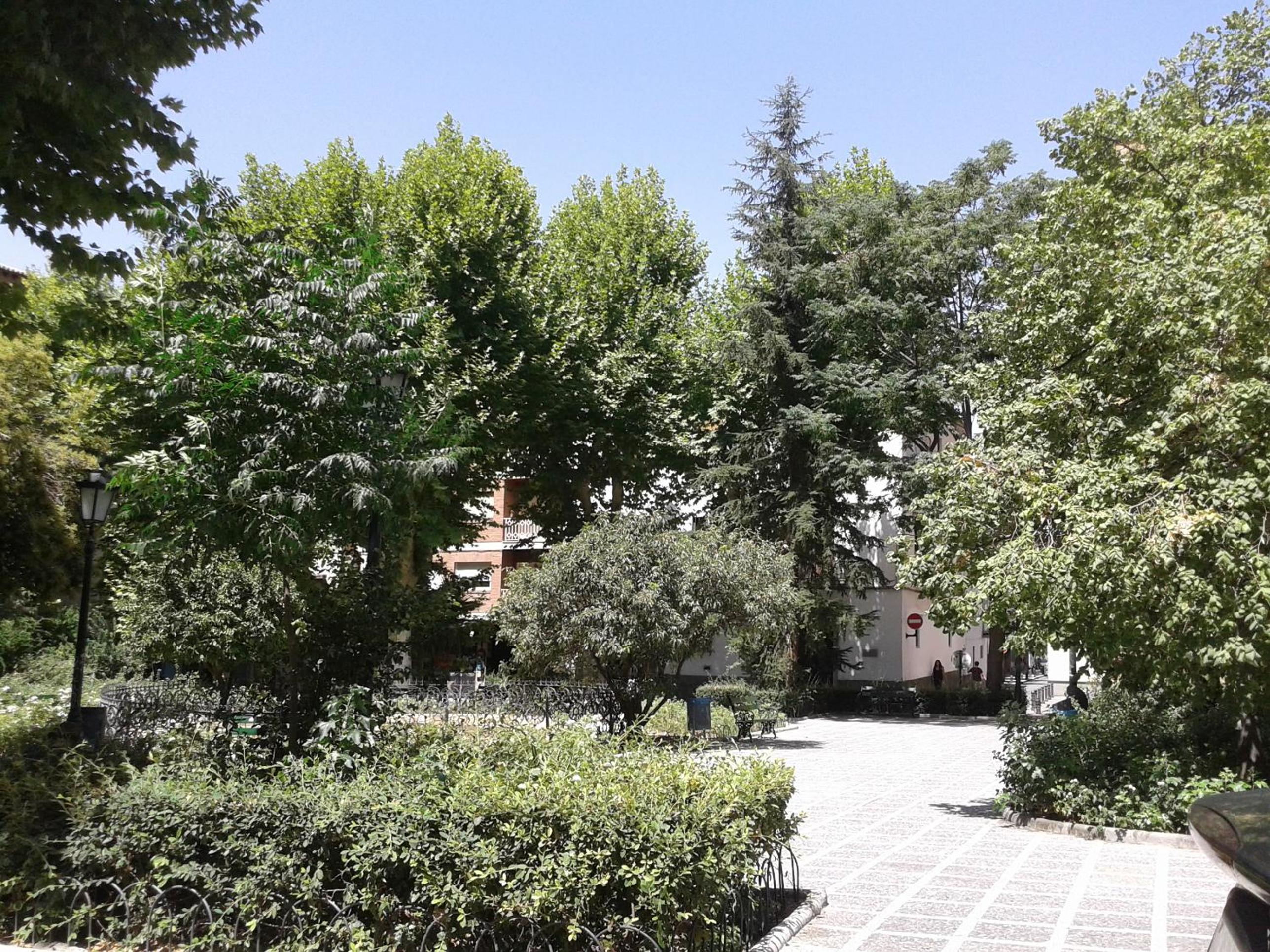 Photo 15
