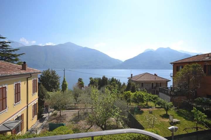 Ulivo8 view 4