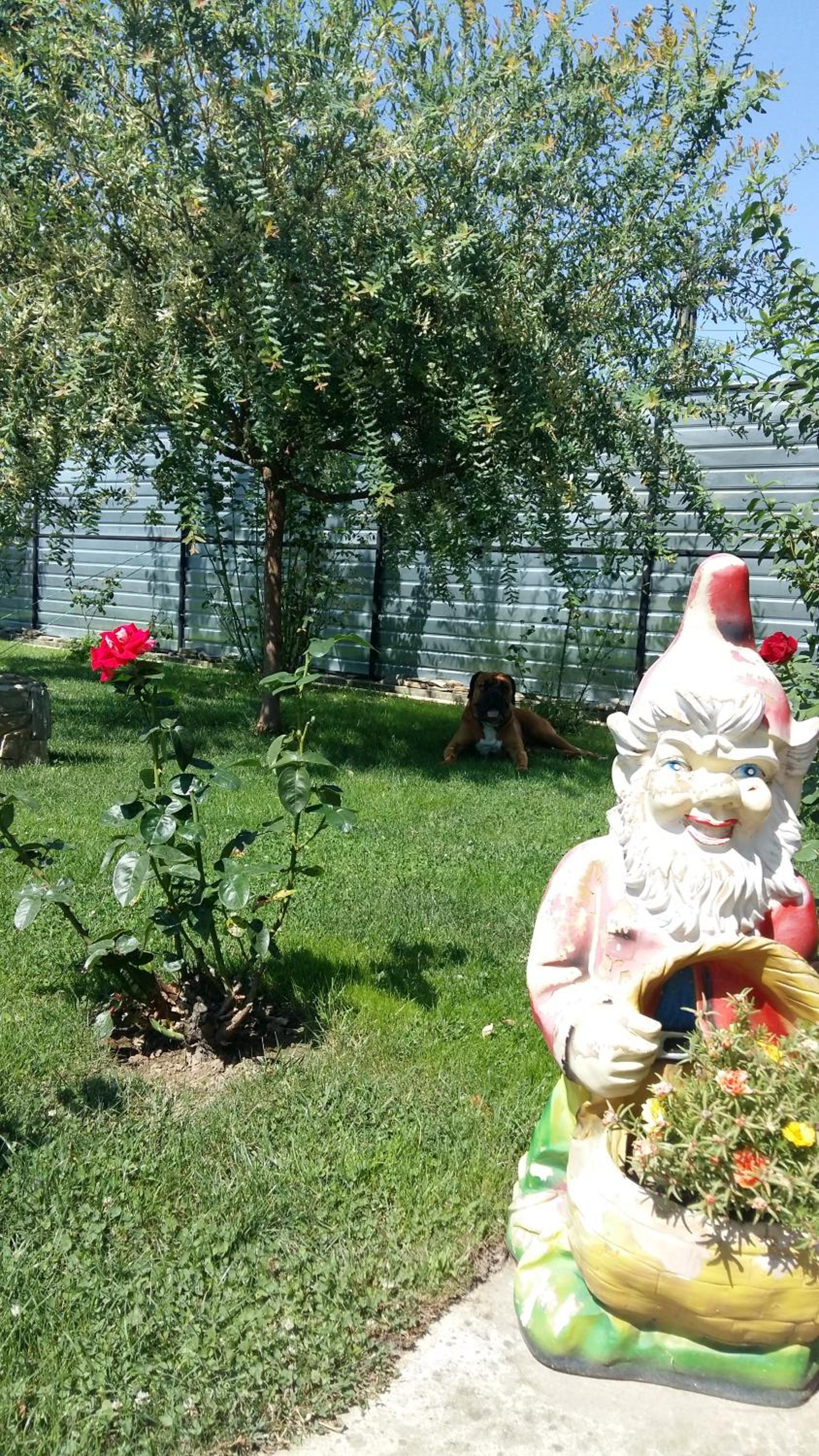 Casa Daria, photo 28