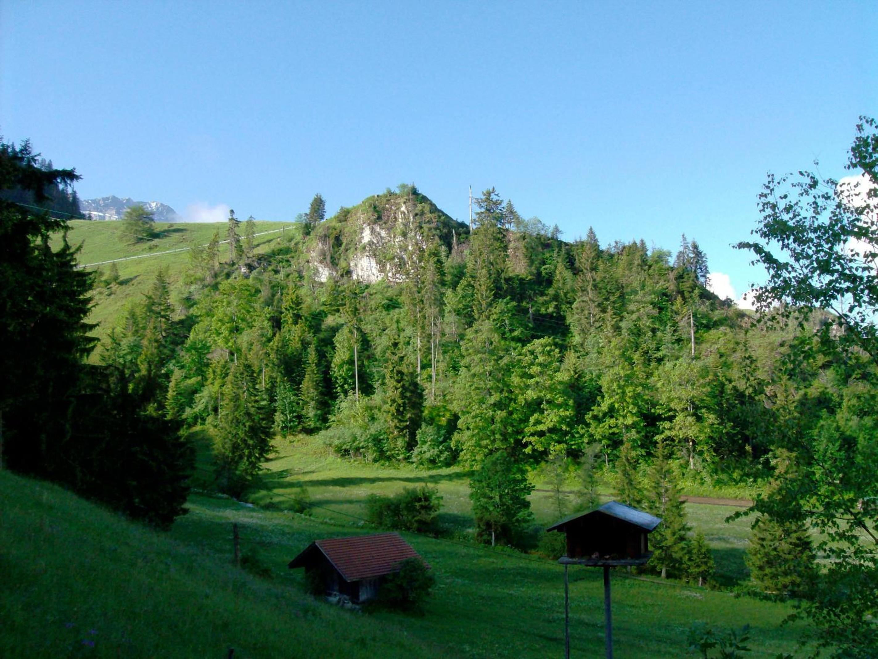 Photo 35