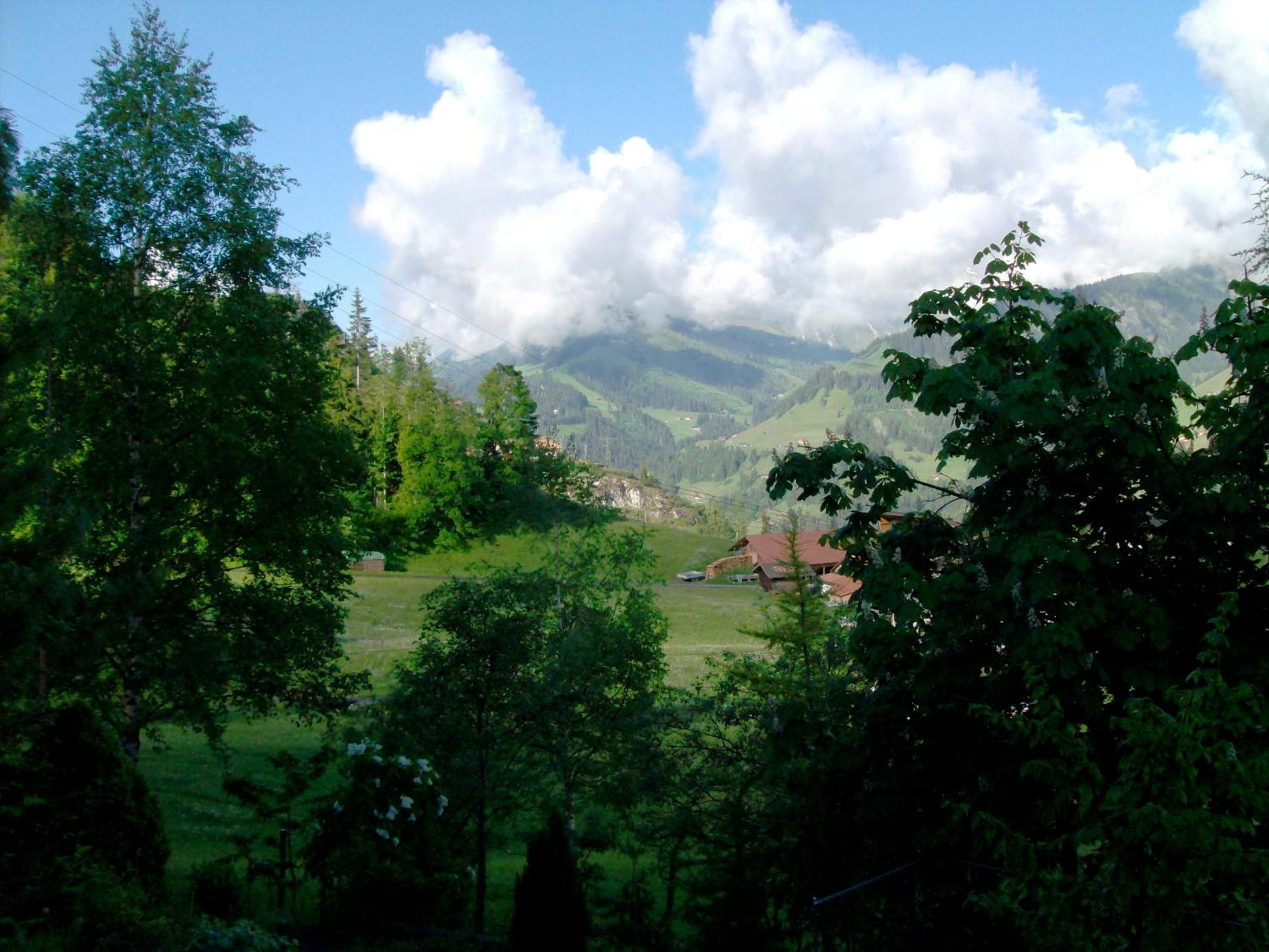 Photo 41