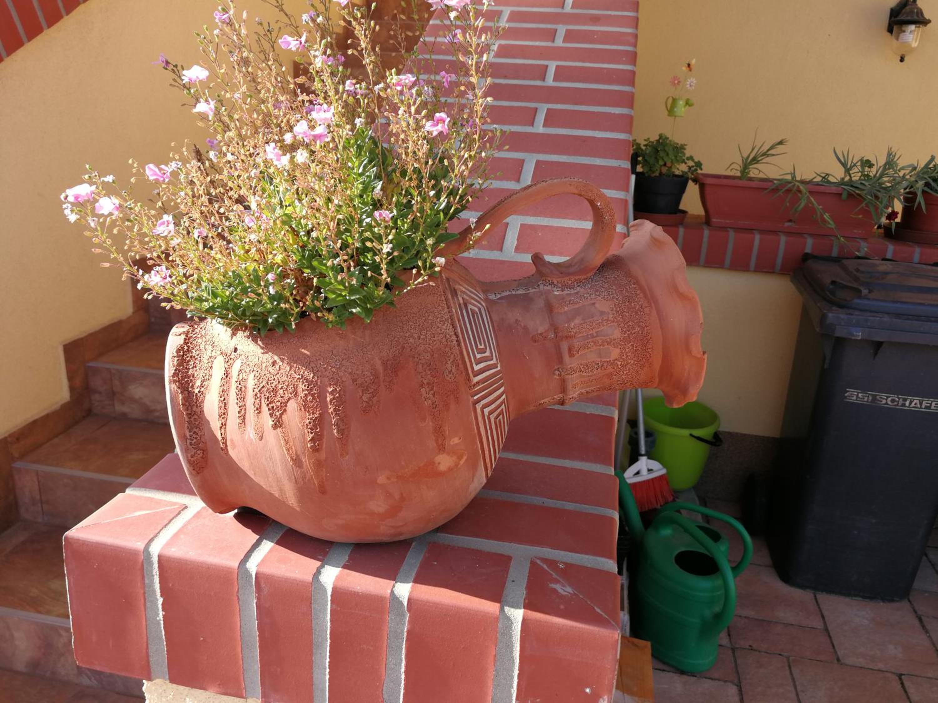 Photo 42