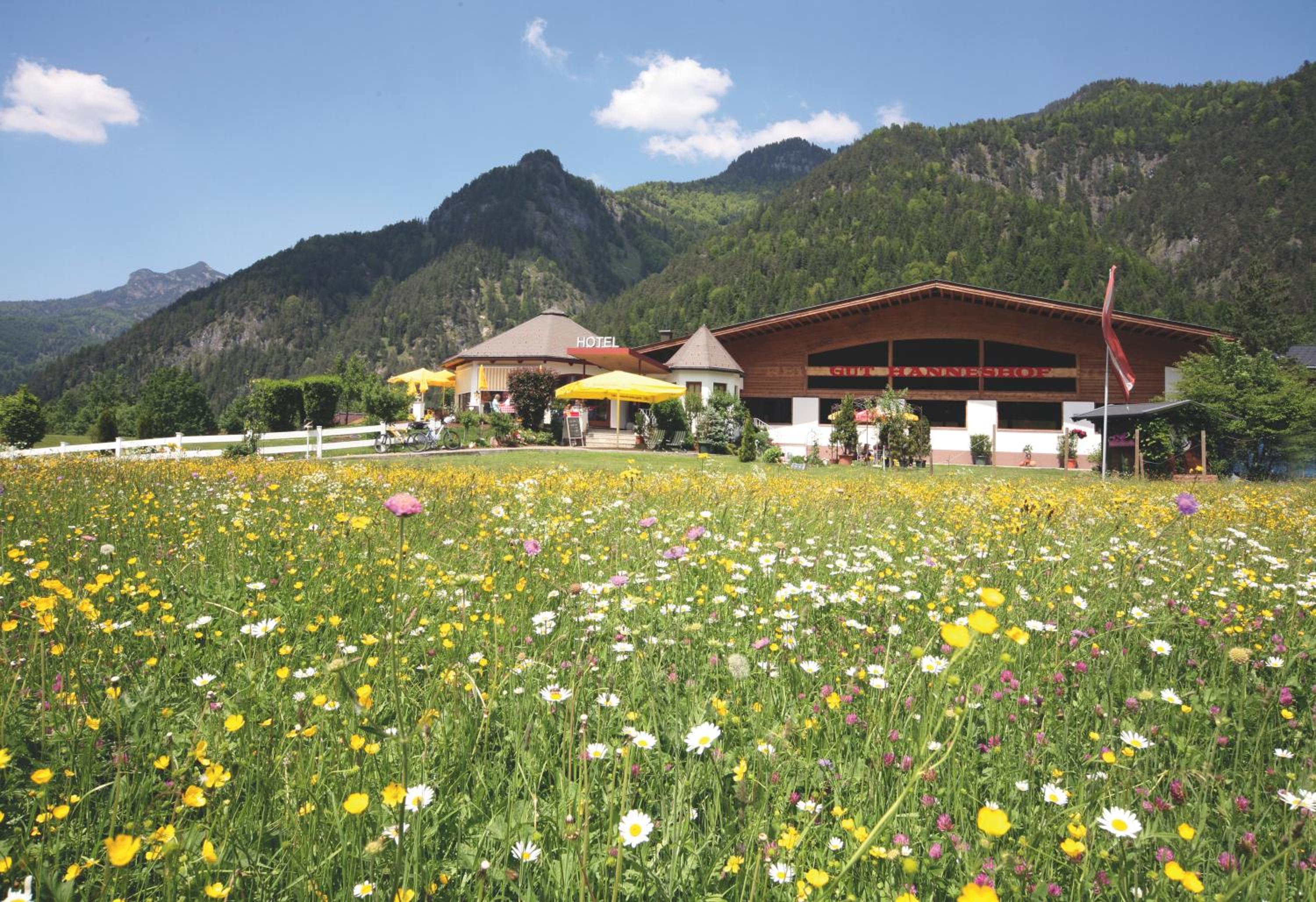 Gut Hanneshof