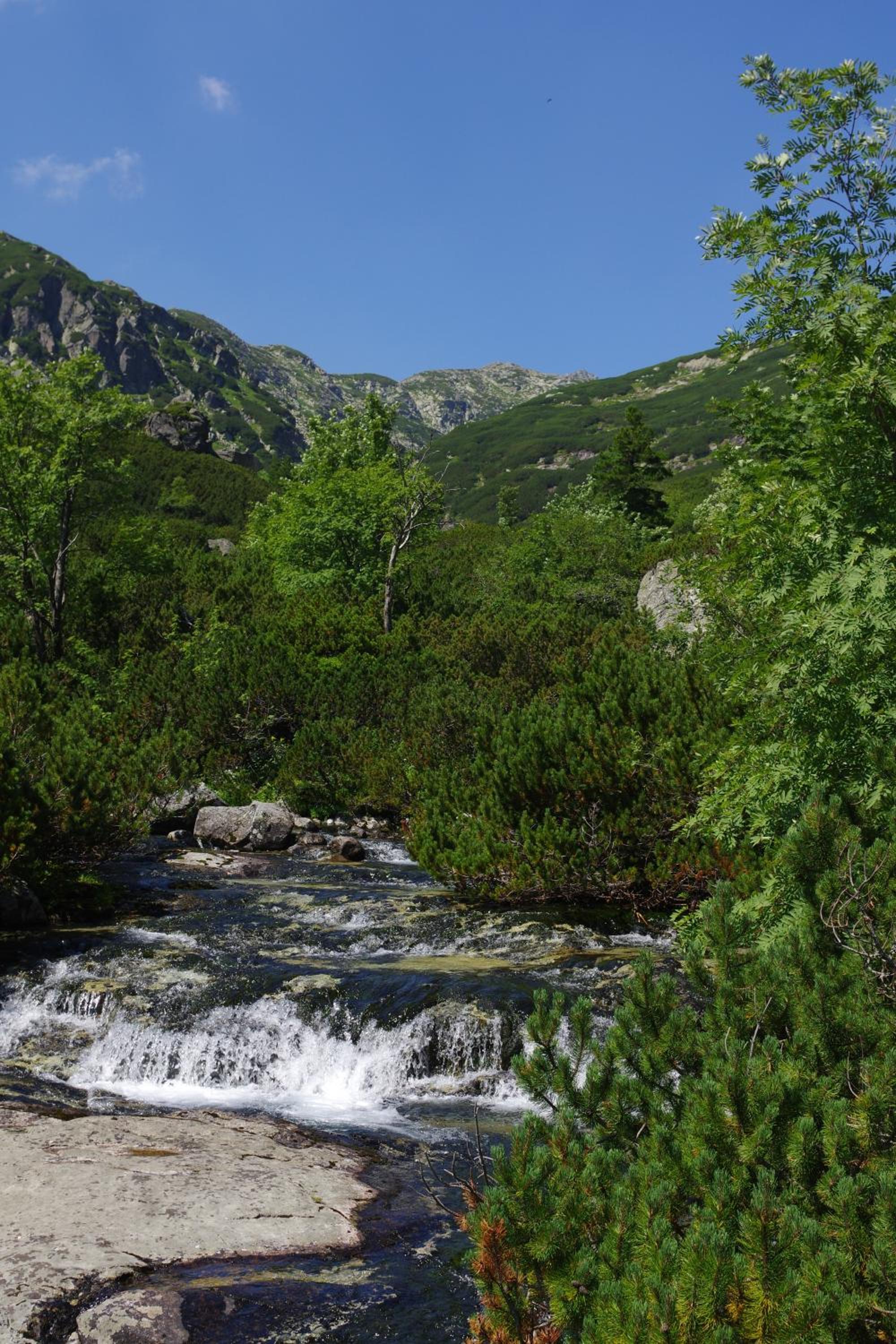 Photo 39