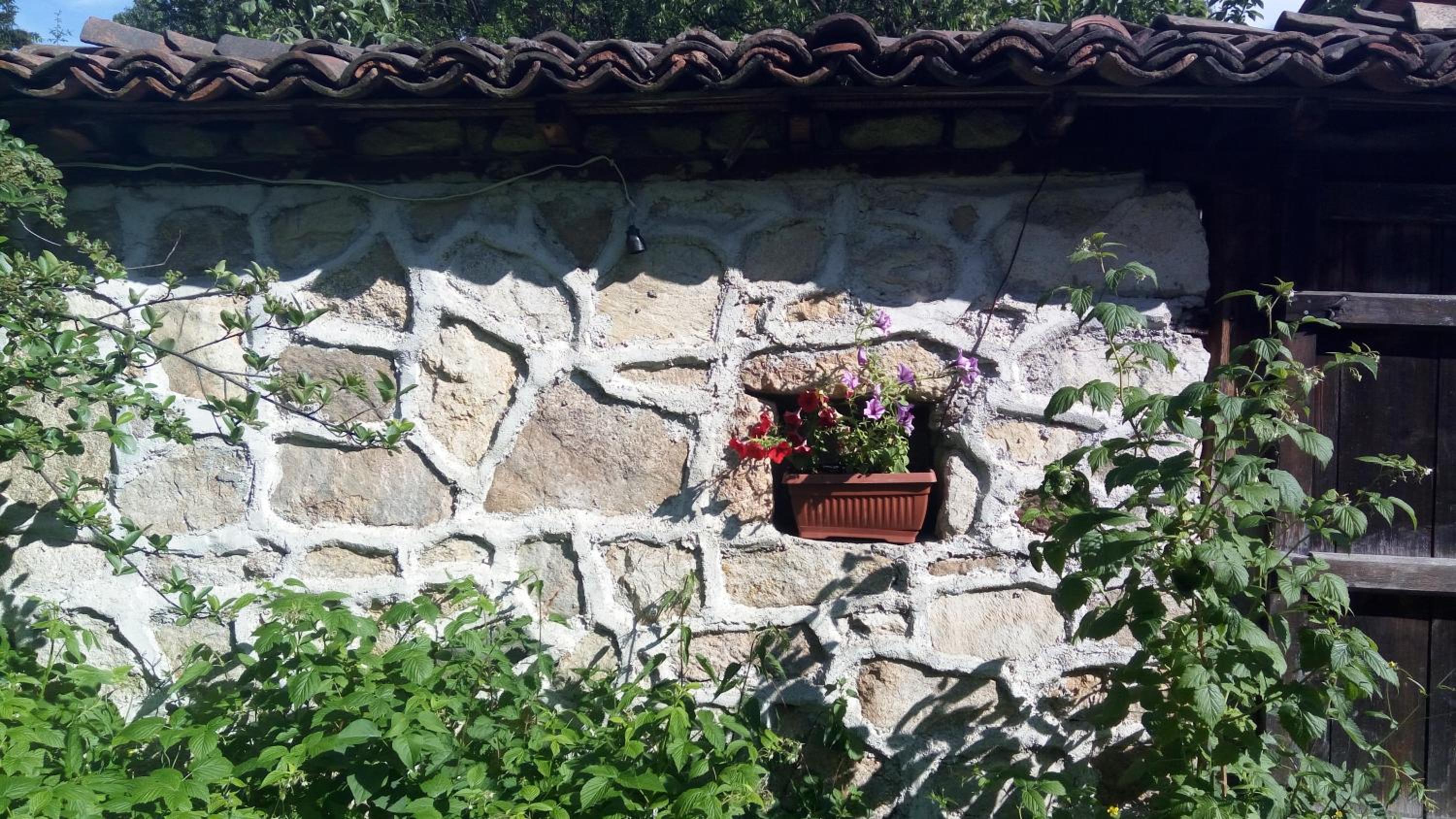 Villa Lyutovi Holiday Home