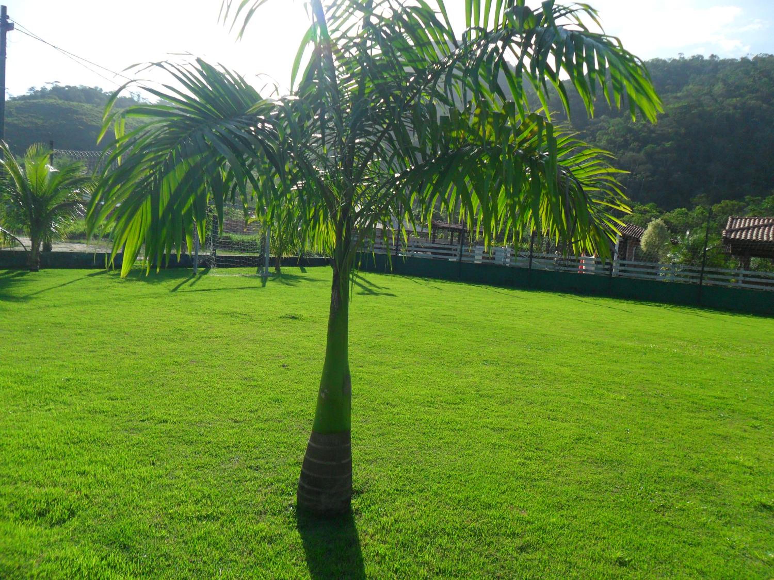 Chácara Vale de Imbaú