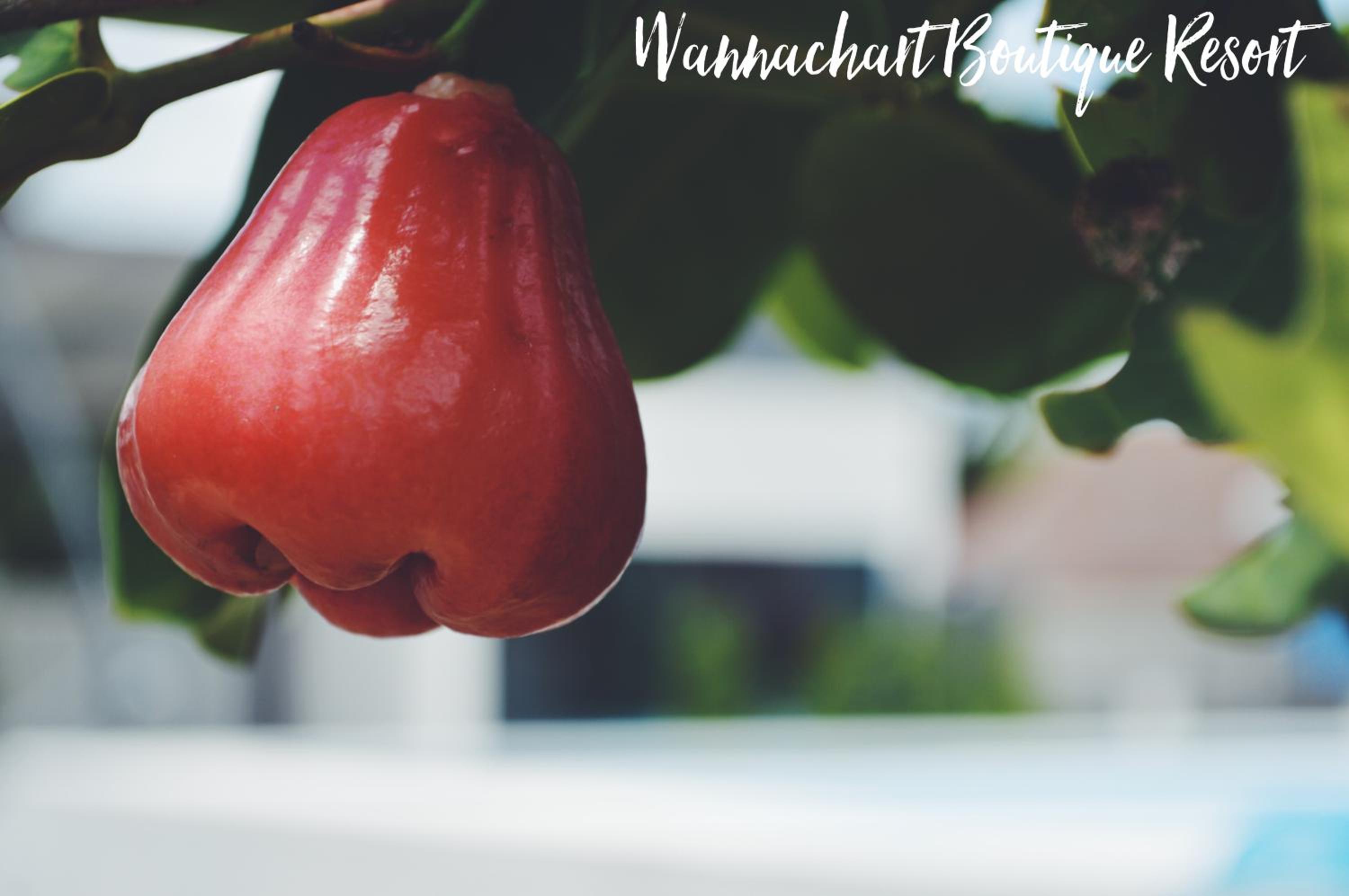Wannachart Boutique Resort