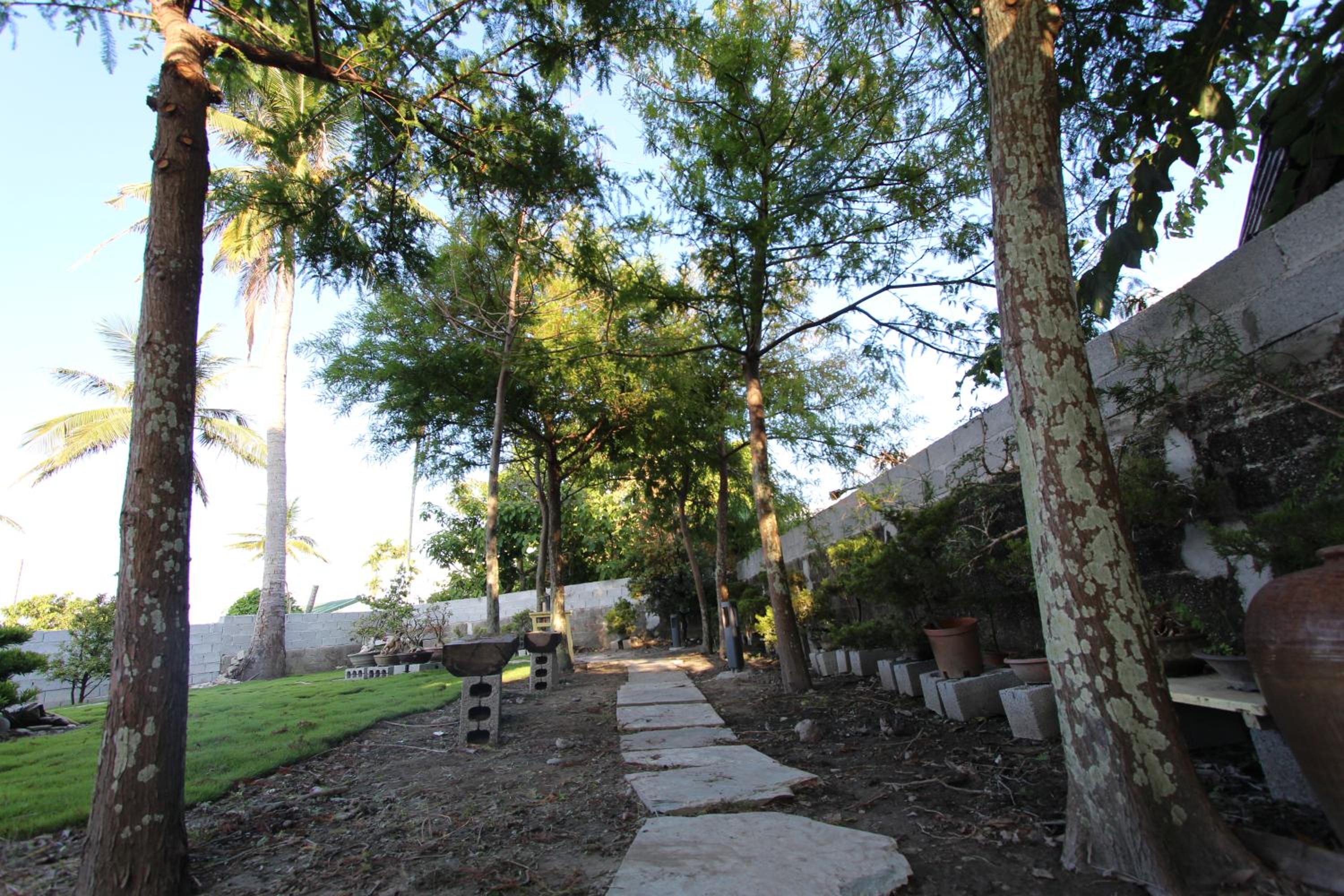 Photo 8