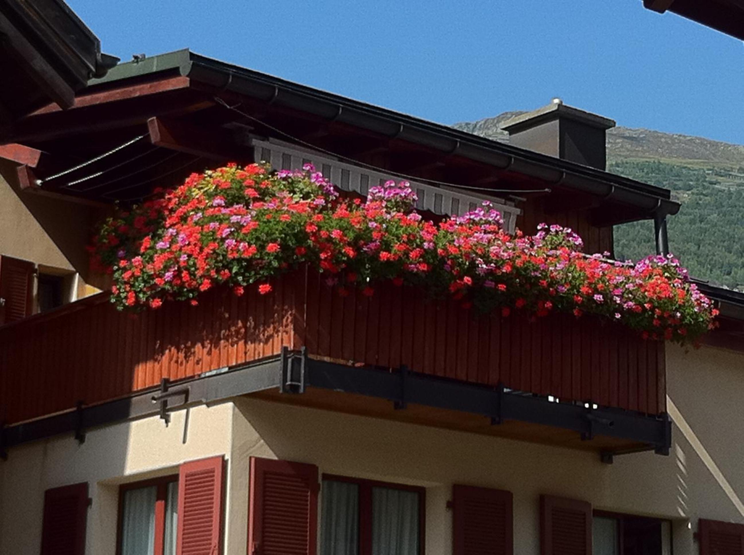 Privatzimmer / bed & breakfast