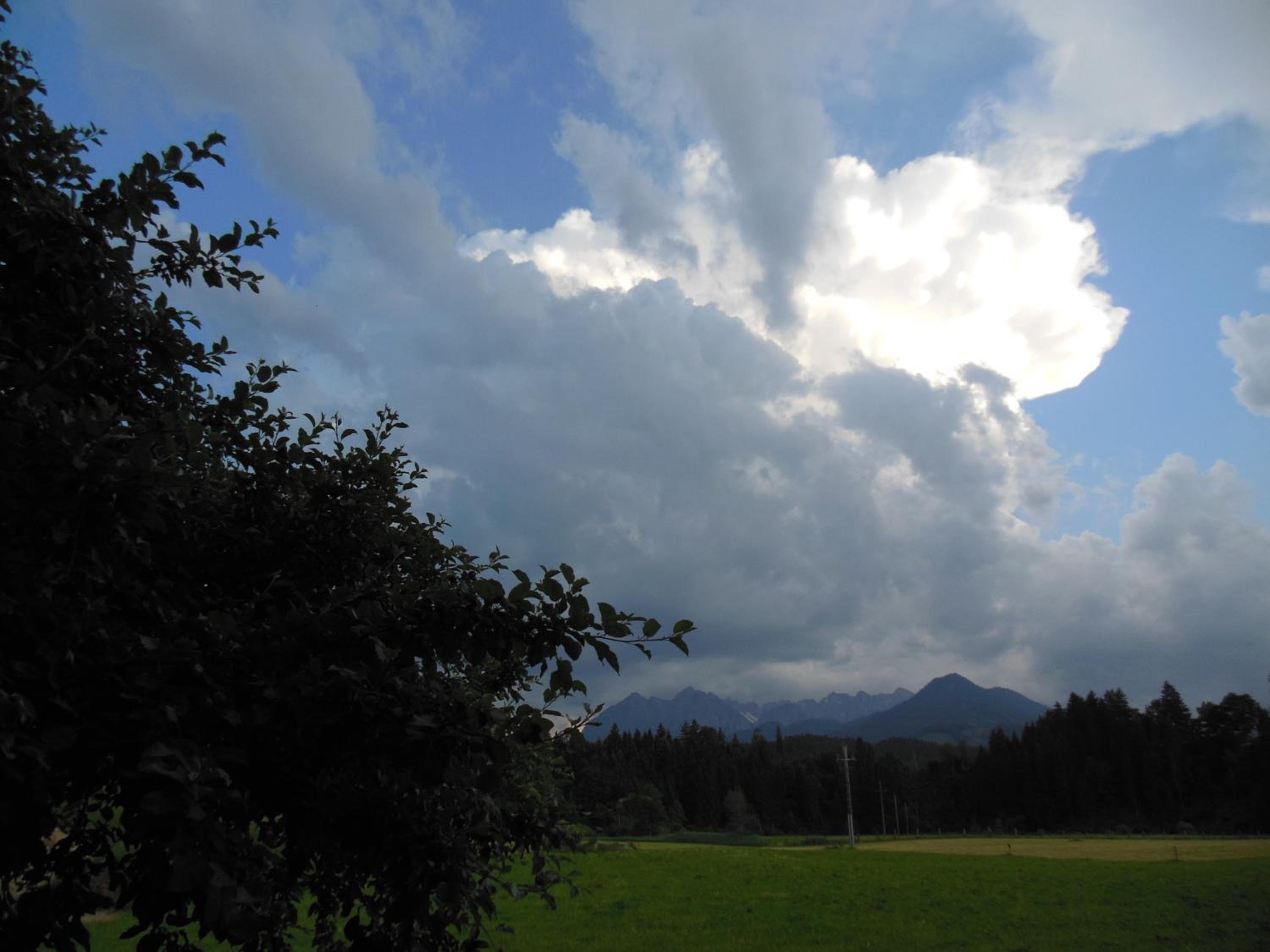 Photo 24