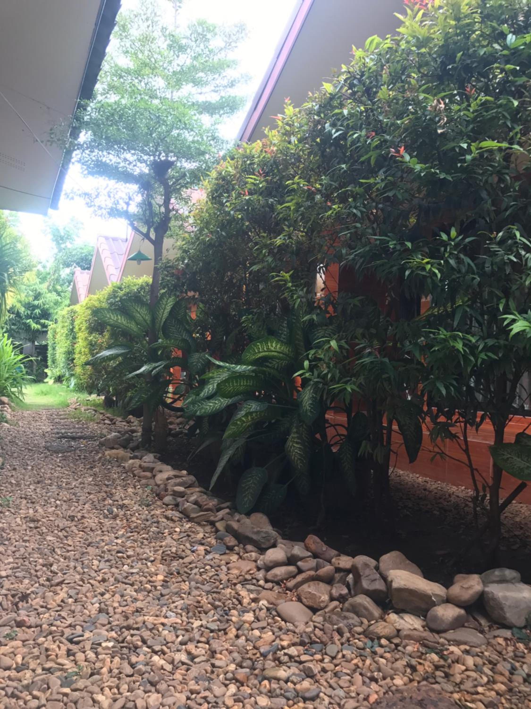 Jim Guesthouse view 4