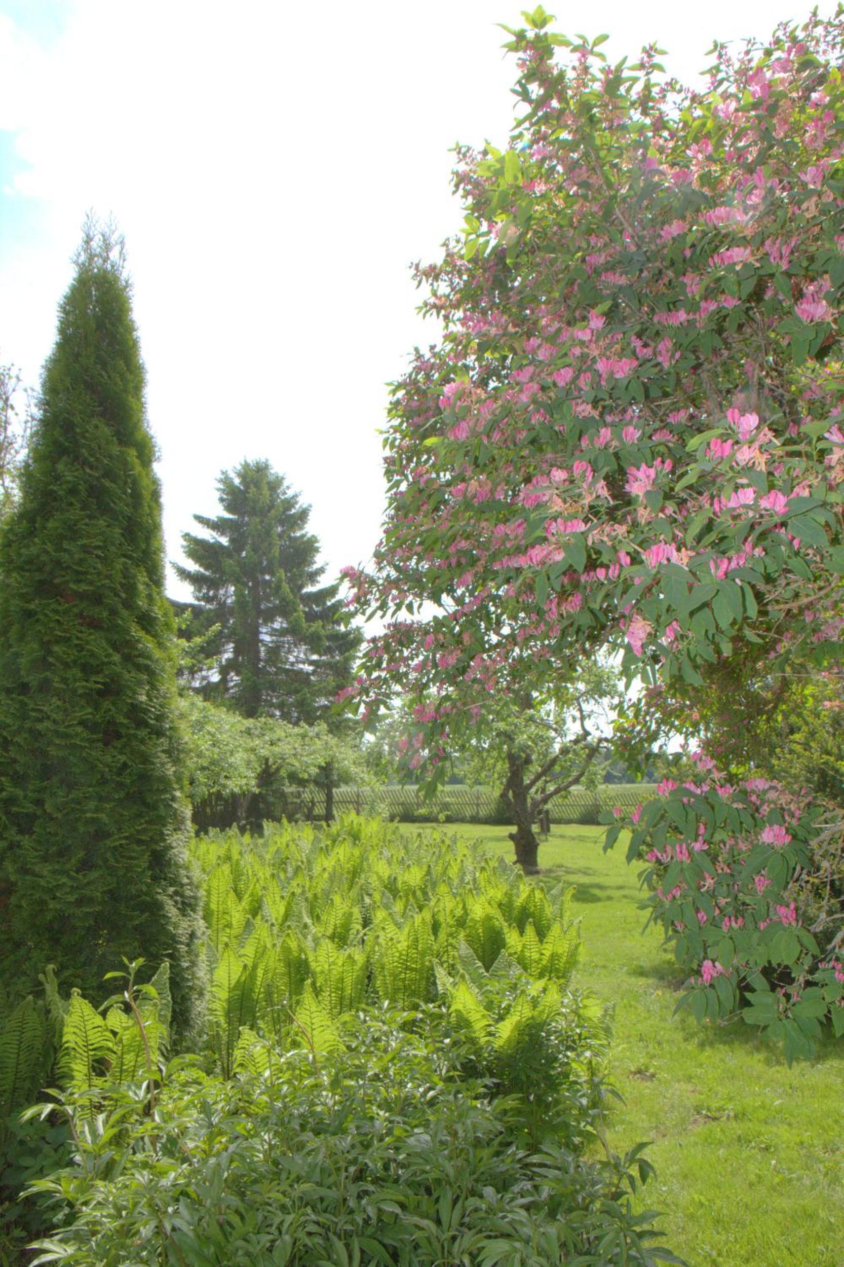 Karu Holiday Home