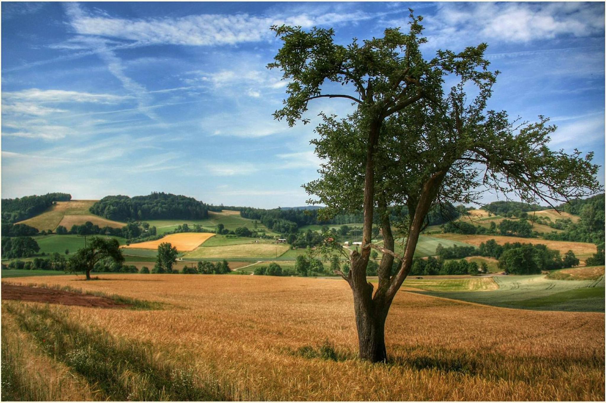 Ferienwohnung Mörlenbach view 3