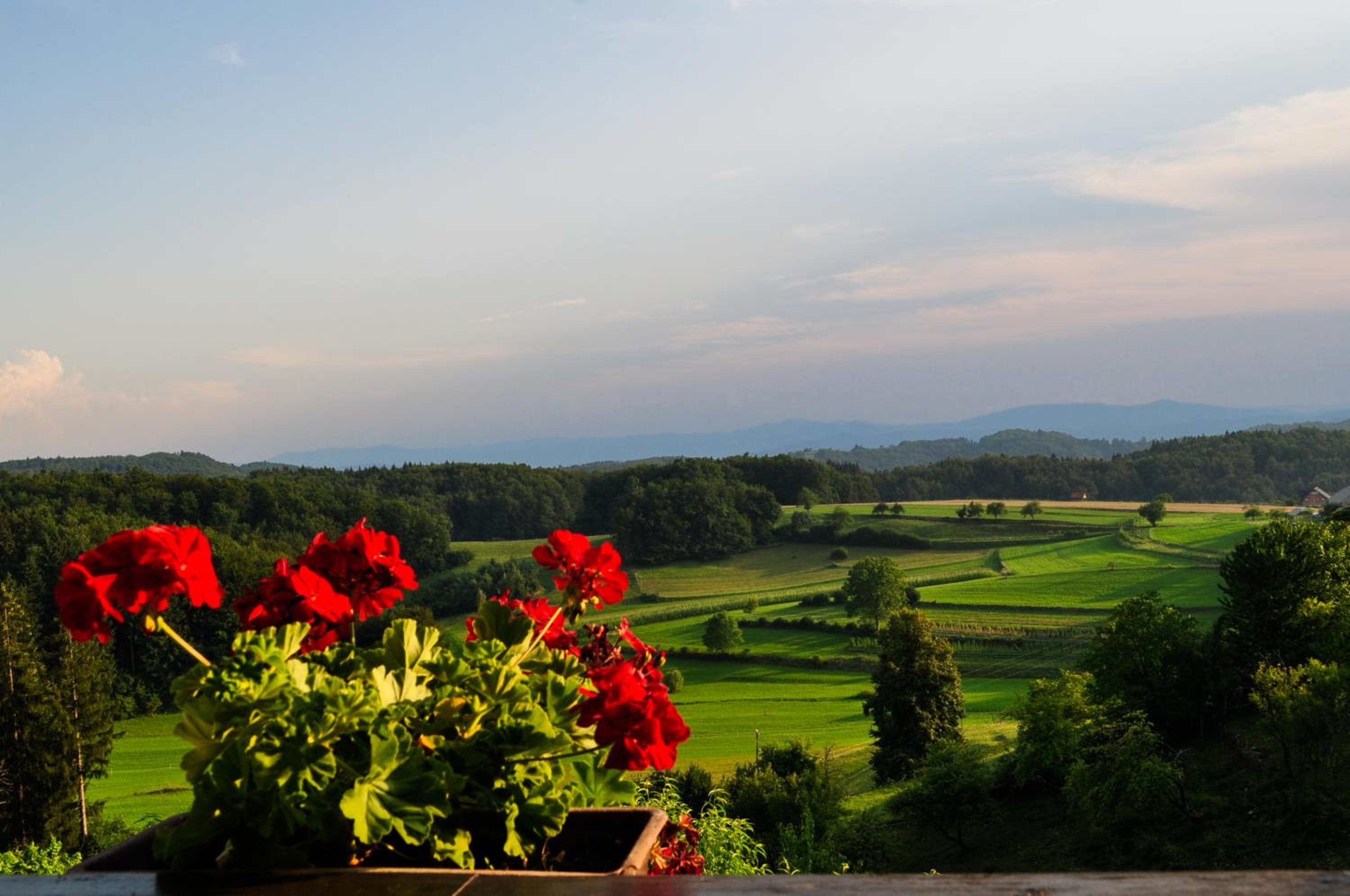 Vineyard Cottage Krivic en Trebelno
