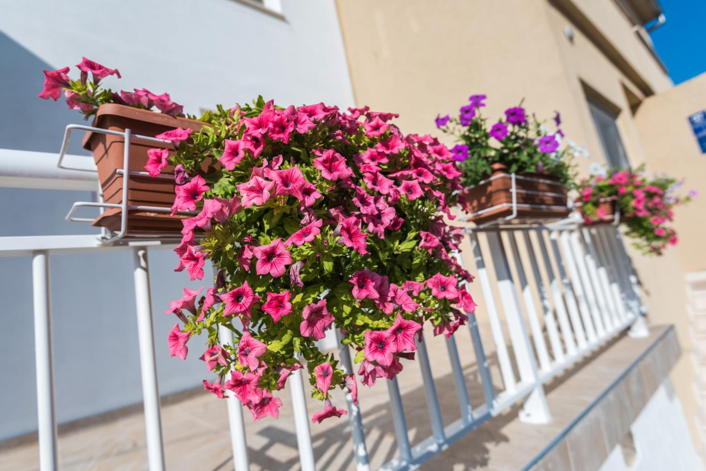 Apartments Galeb view 4